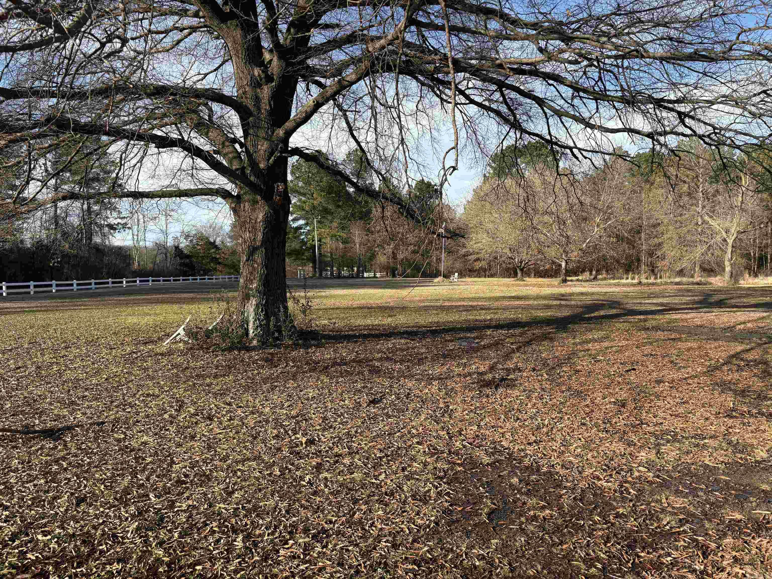 1 Lazy Valley  Morrilton, AR