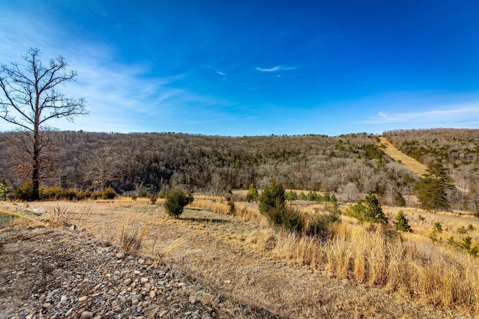 979 Marsh Mountain Rd. Pangburn, AR 72121