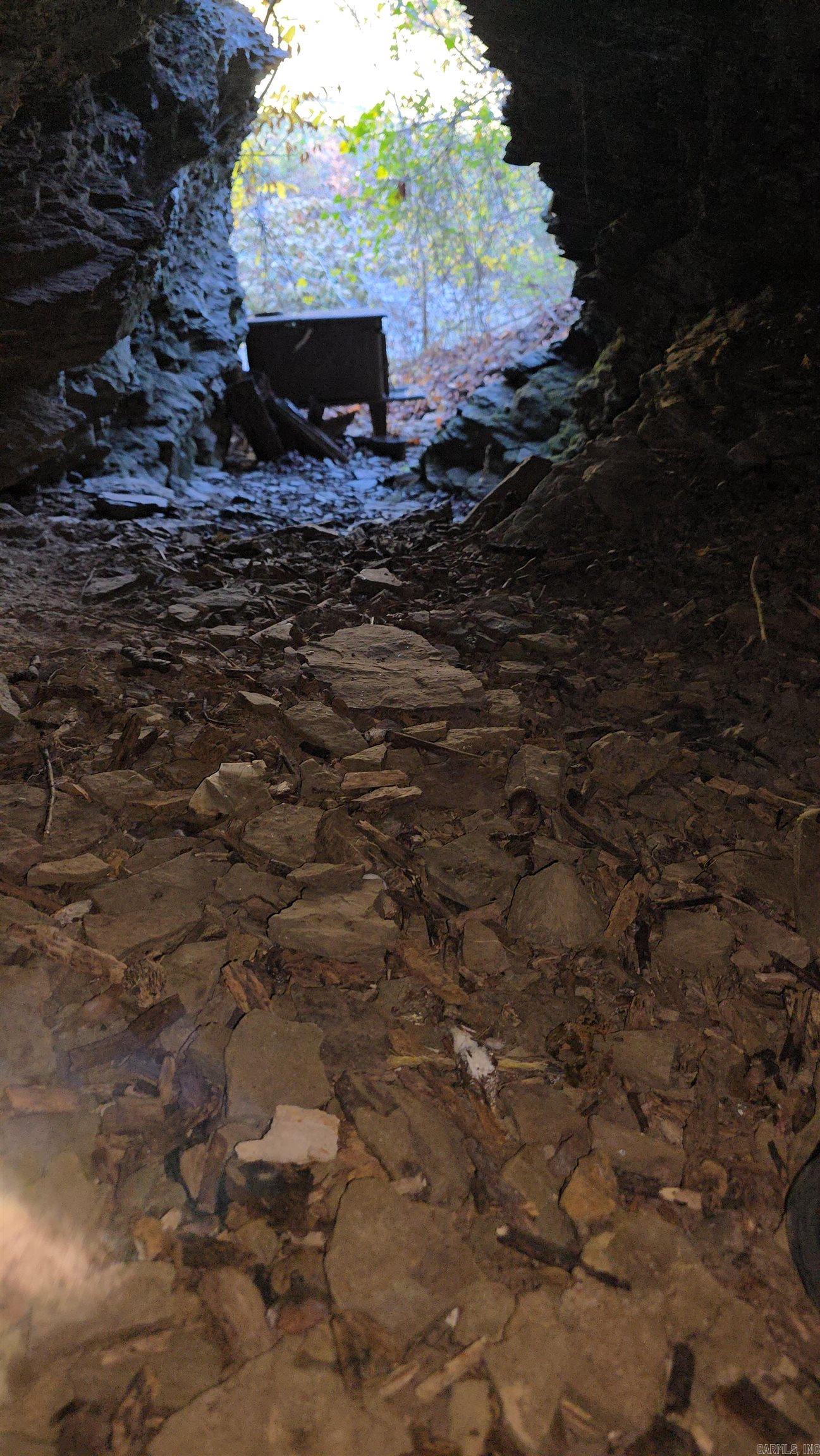 979 Marsh Mountain Rd. Pangburn, AR 72121