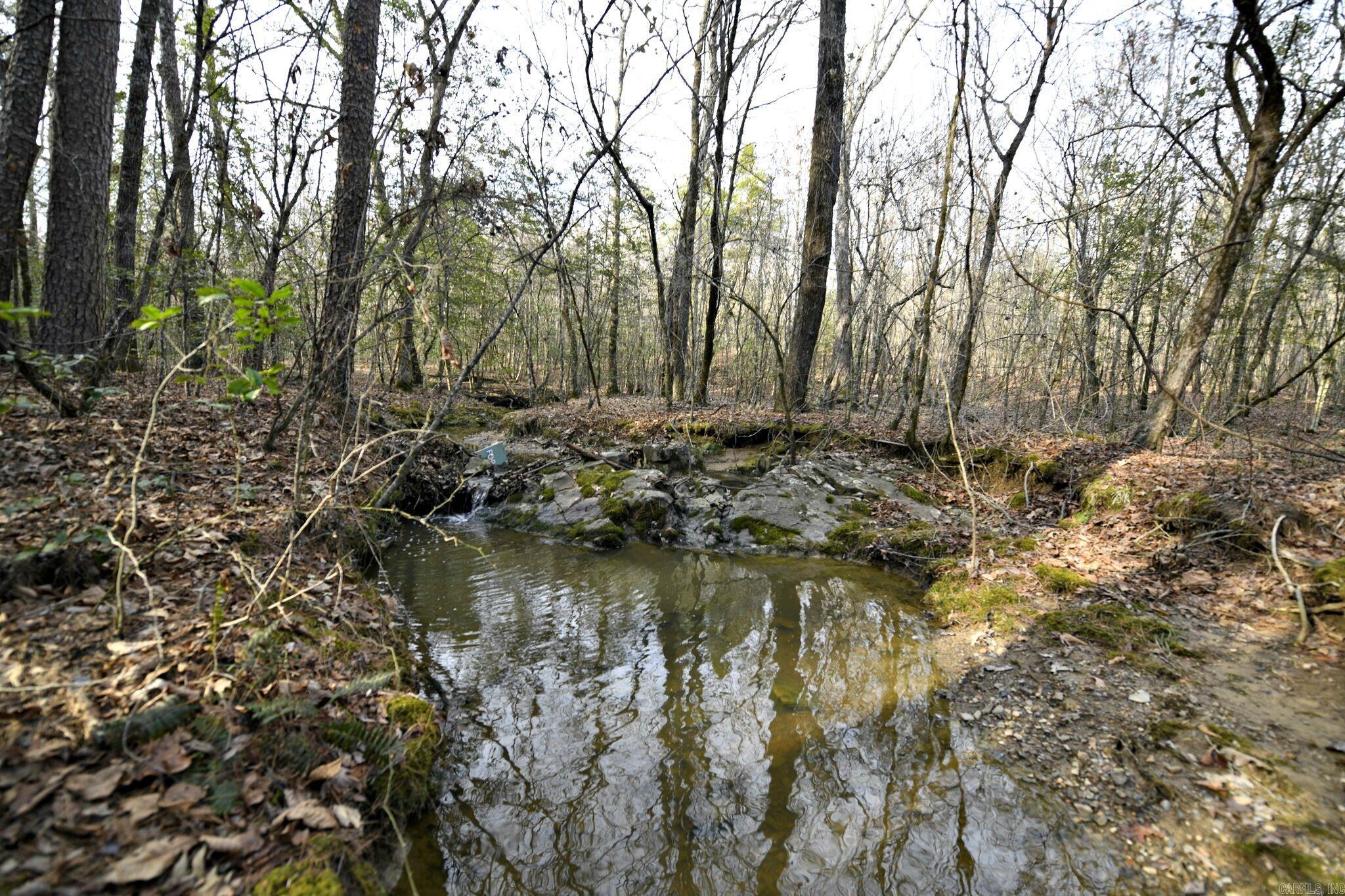 TBD Polk Road 95  Mena, AR