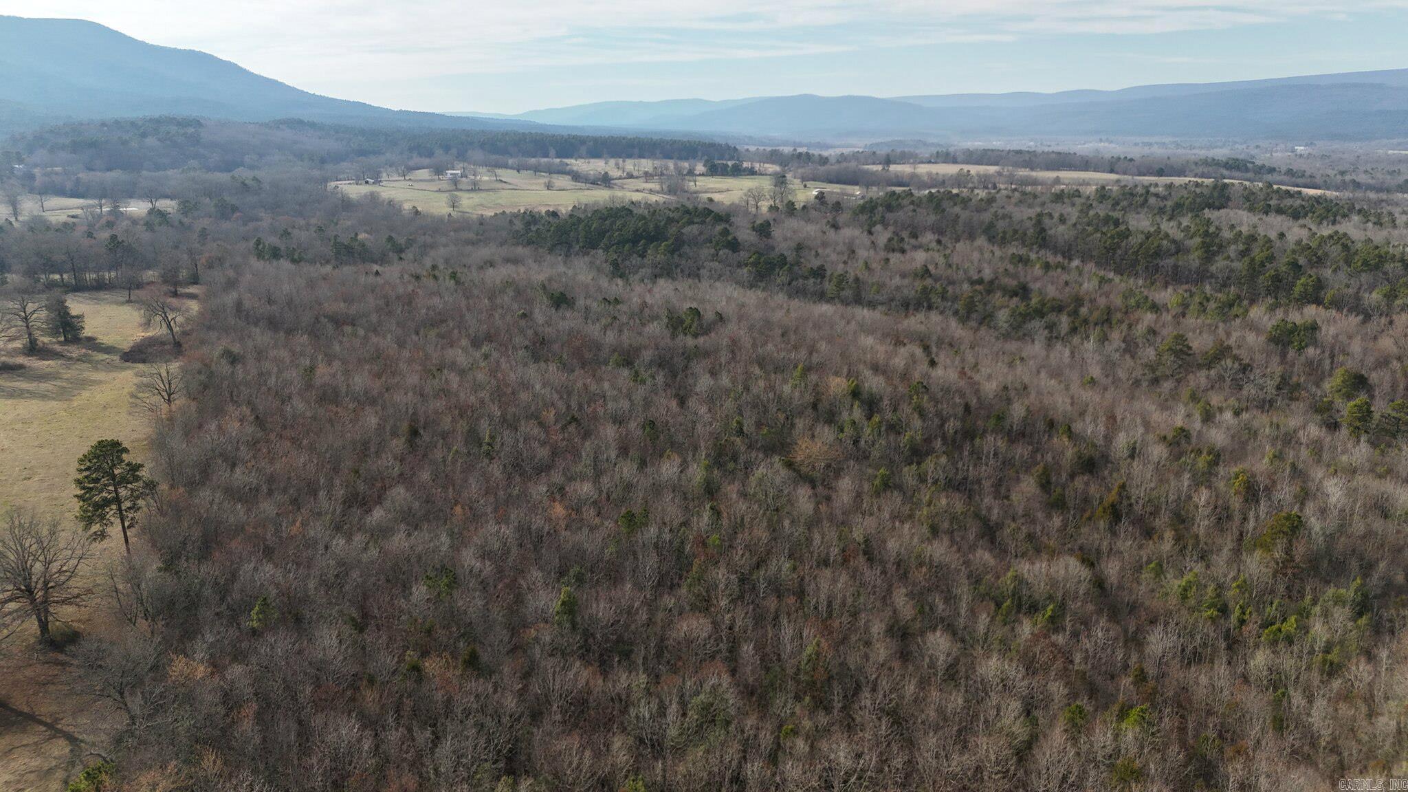 TBD Polk Road 95  Mena, AR