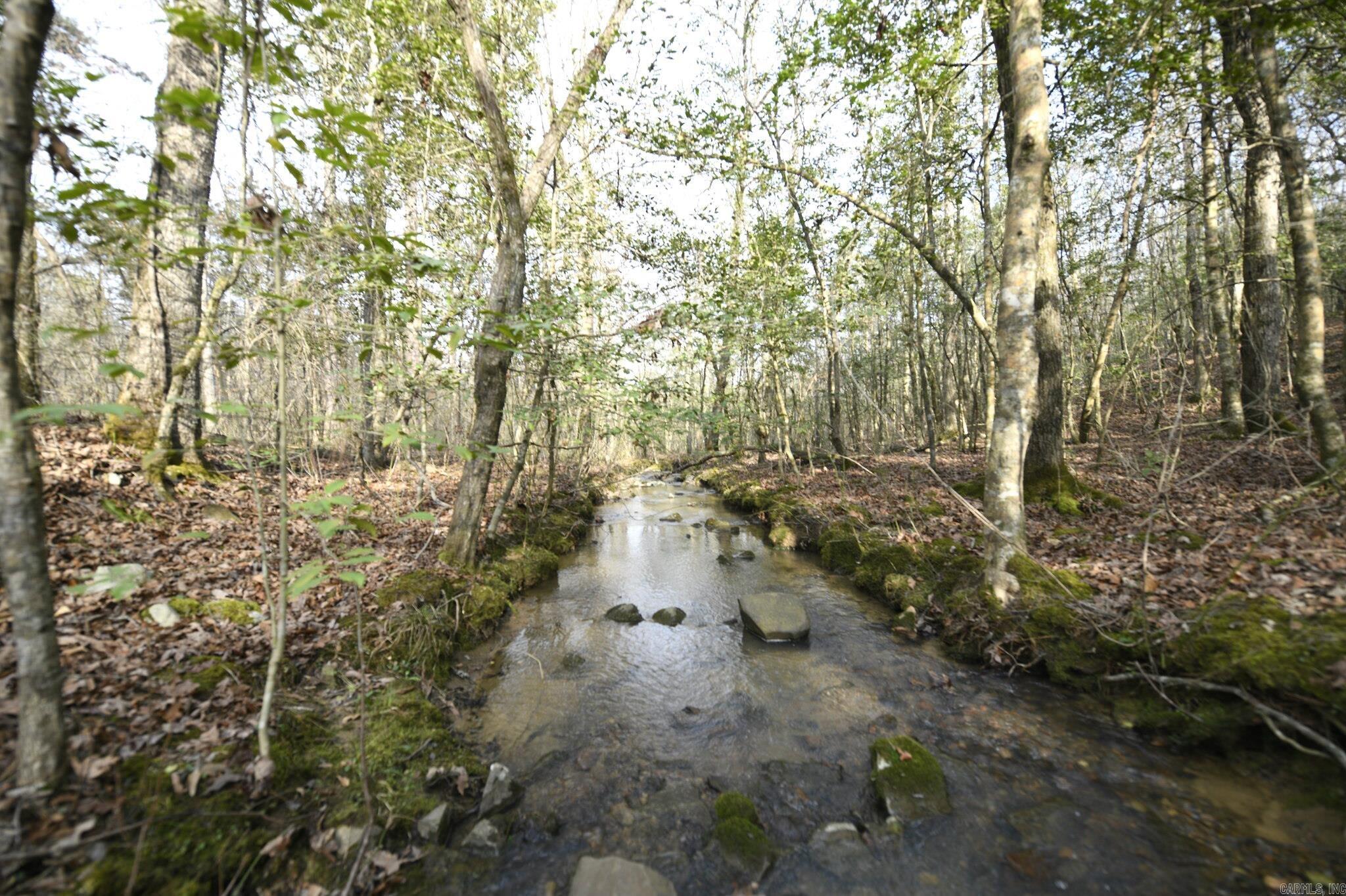 TBD Polk Road 95  Mena, AR