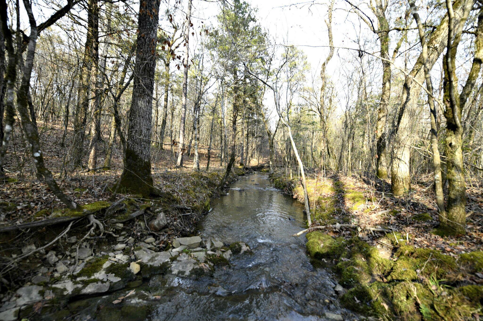 TBD Polk Road 95  Mena, AR