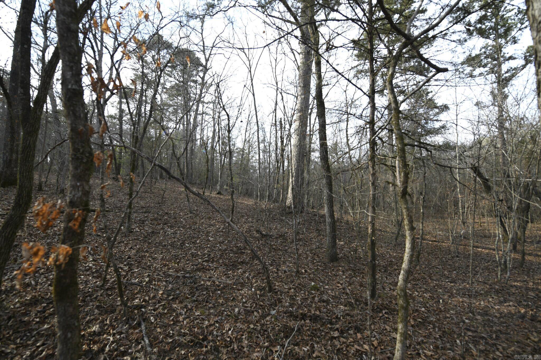 TBD Polk Road 95  Mena, AR