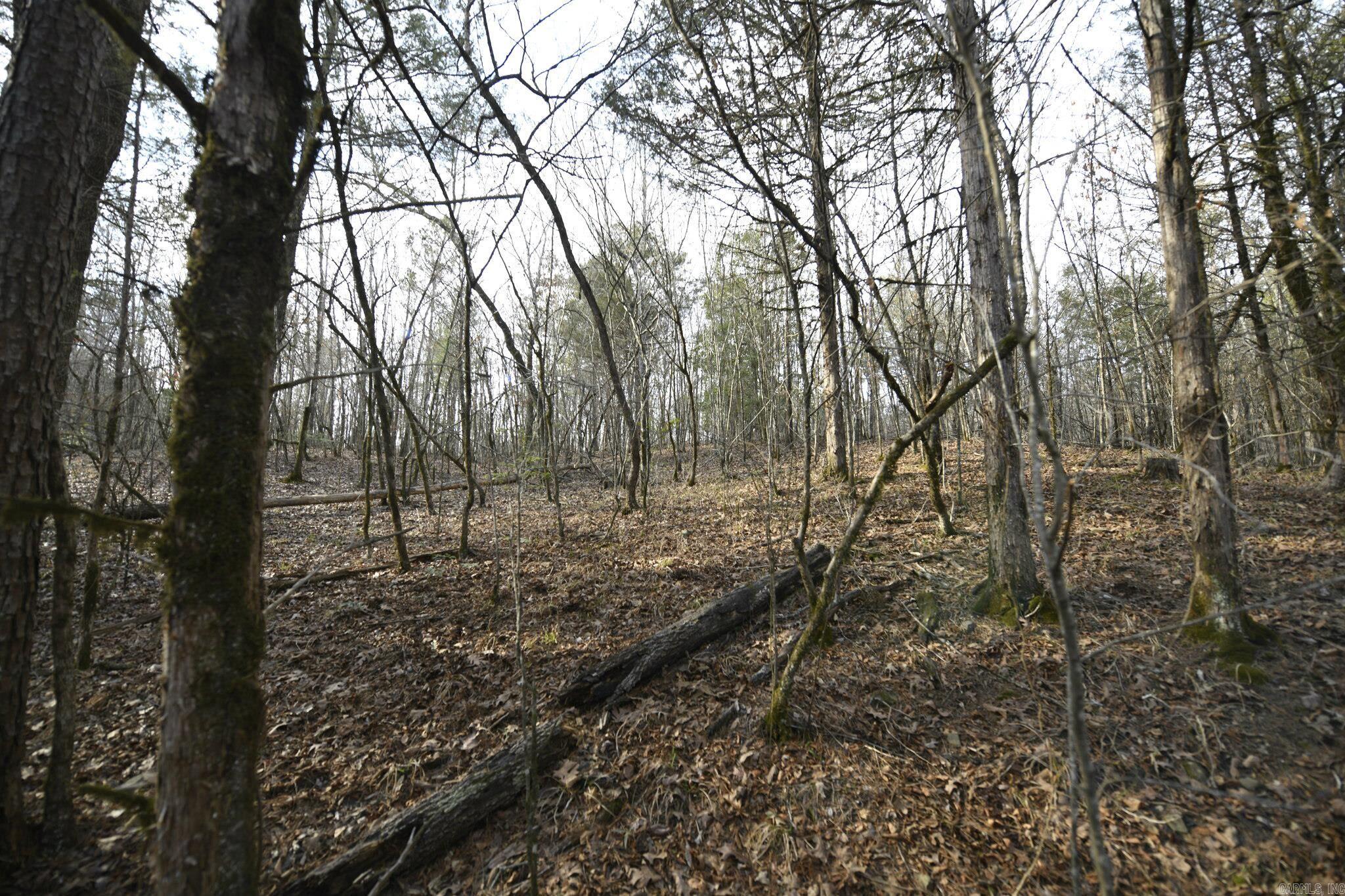 TBD Polk Road 95  Mena, AR