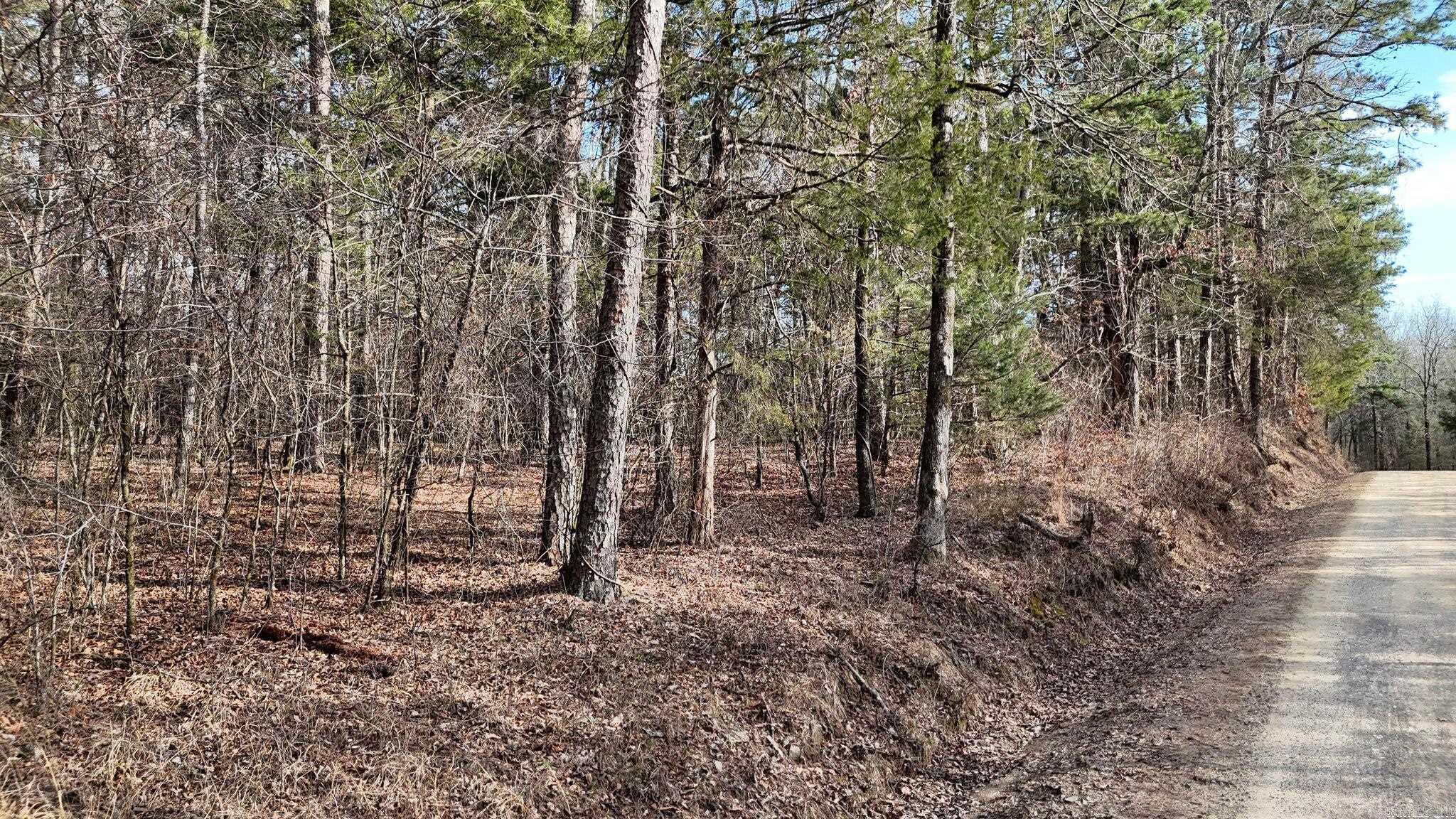 TBD Polk Road 95  Mena, AR