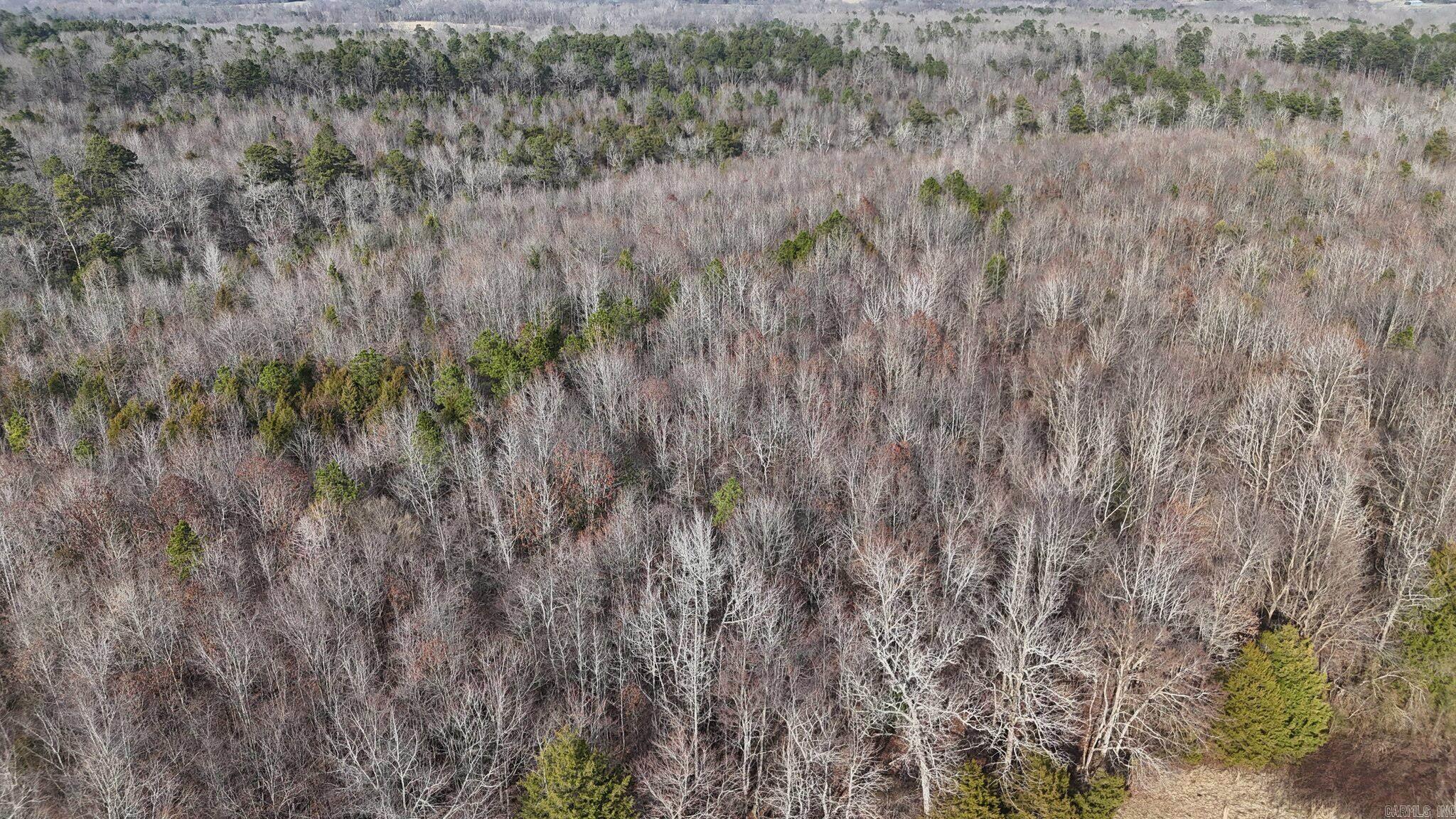 TBD Polk Road 95  Mena, AR