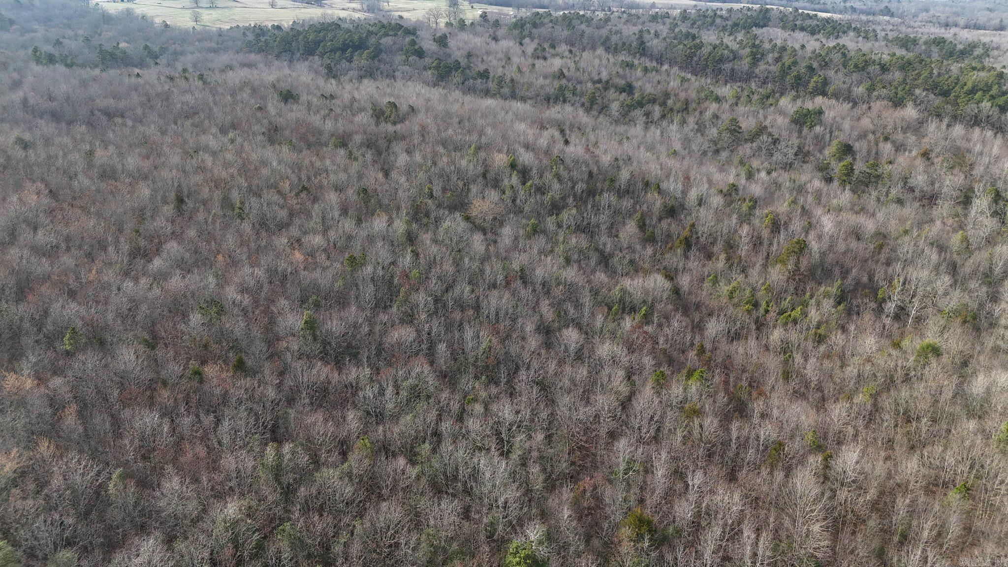 TBD Polk Road 95  Mena, AR