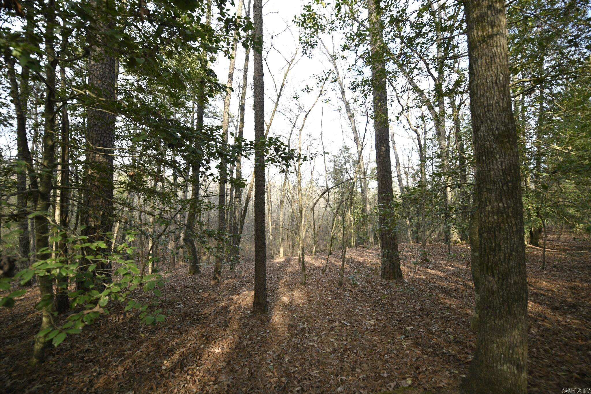 TBD Polk Road 95  Mena, AR