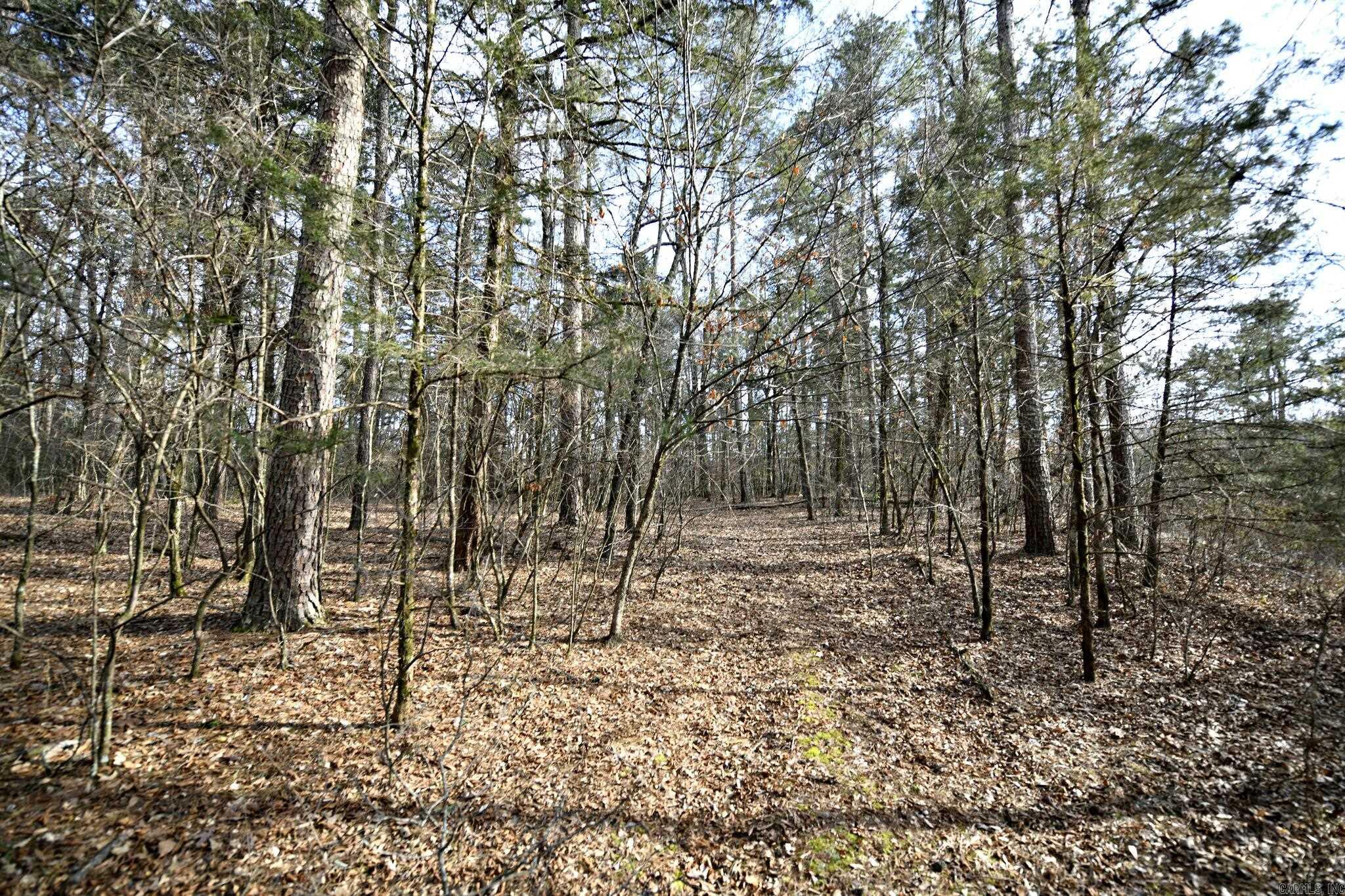 TBD Polk Road 95  Mena, AR