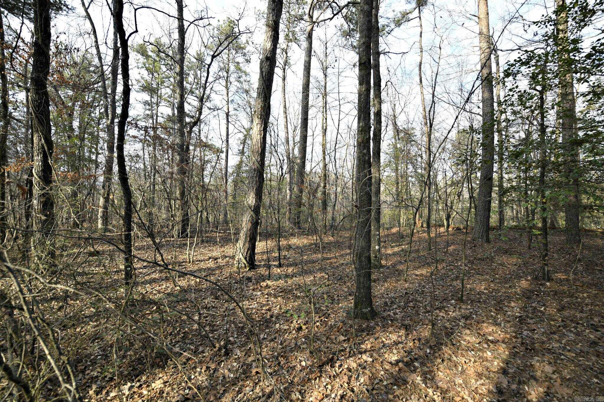 TBD Polk Road 95  Mena, AR