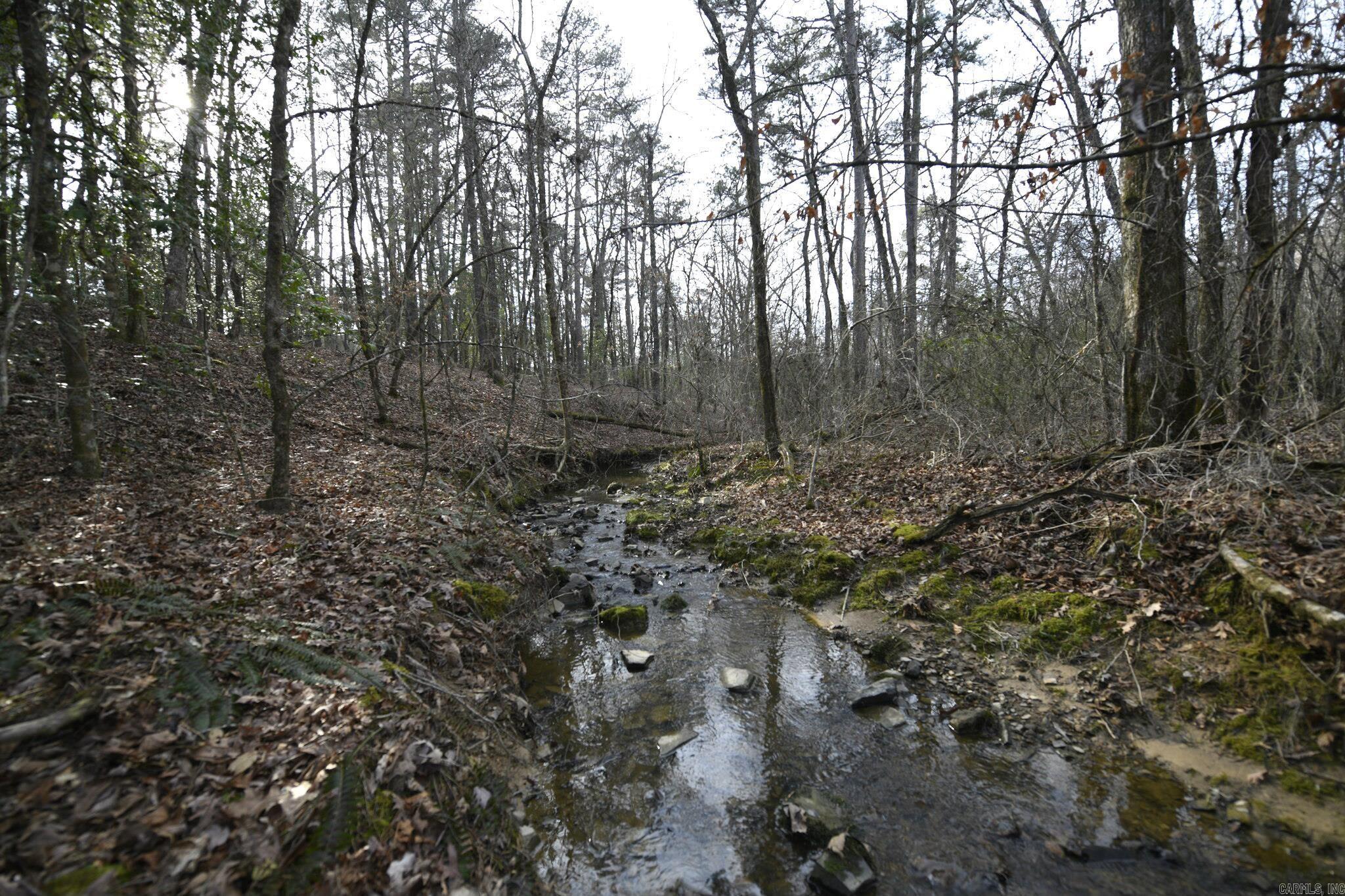 TBD Polk Road 95  Mena, AR
