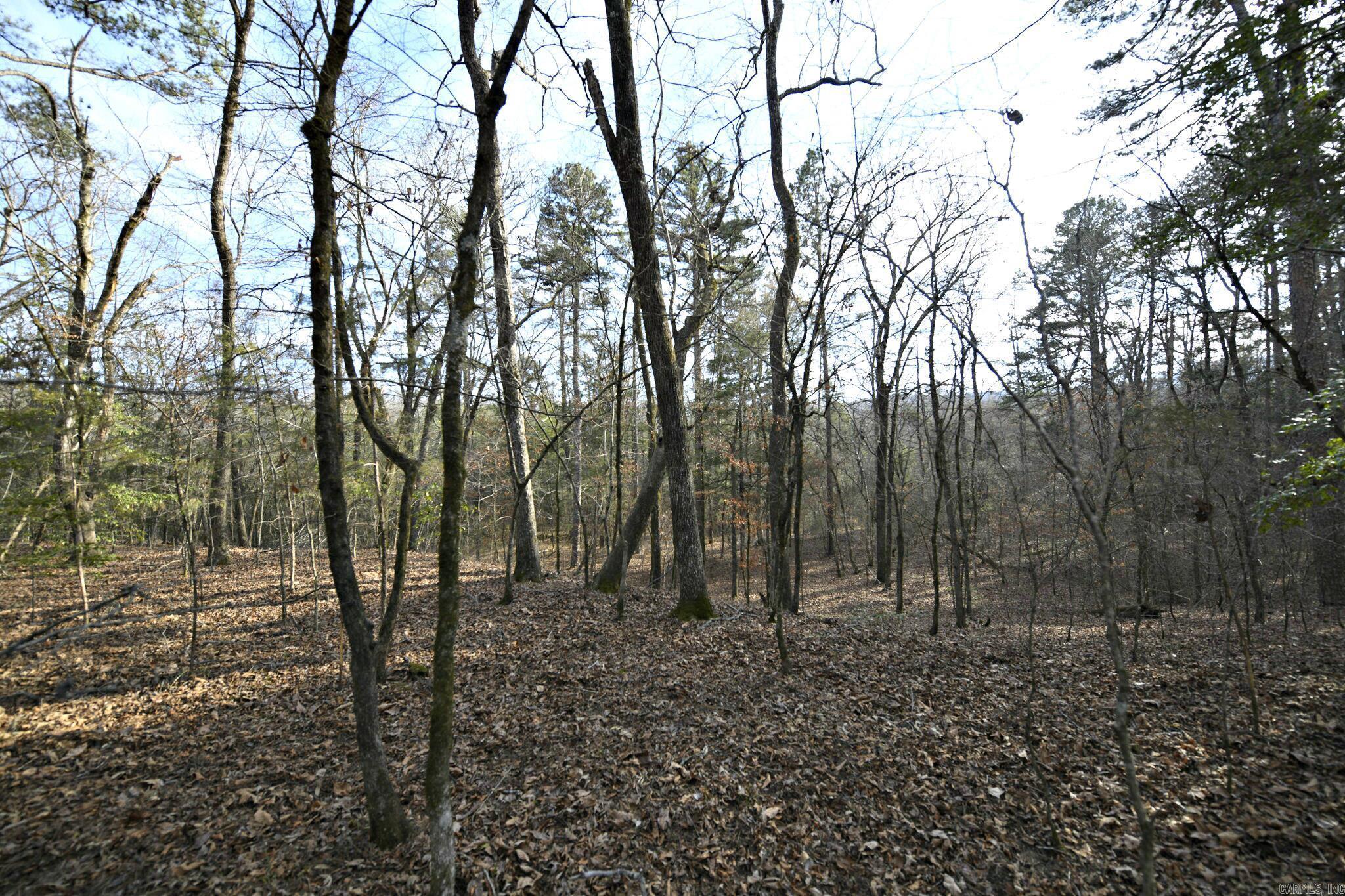 TBD Polk Road 95  Mena, AR