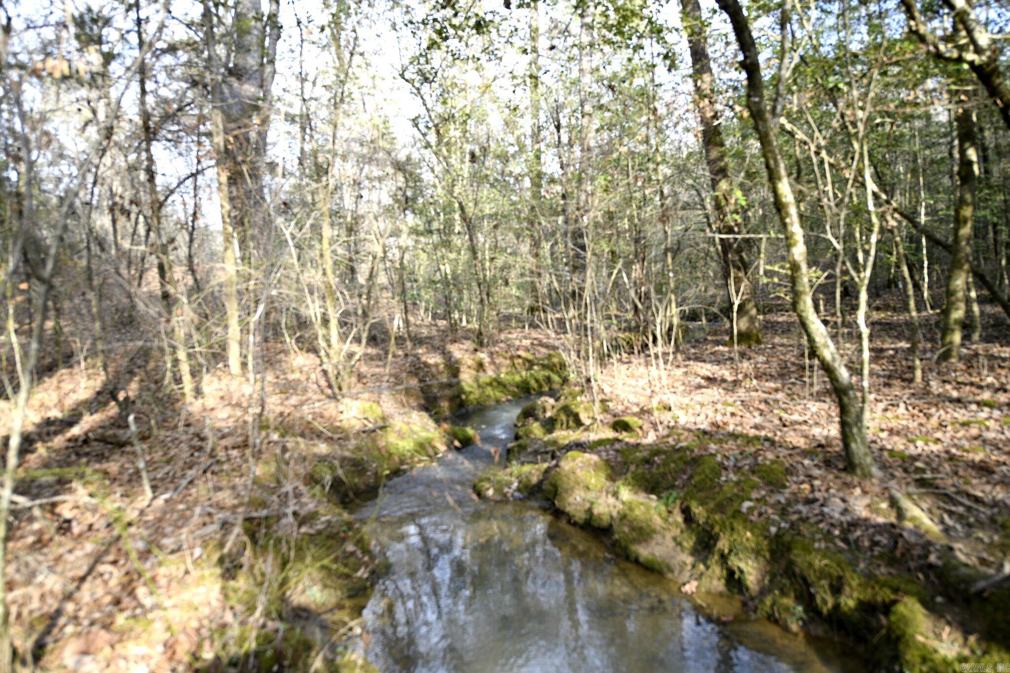 TBD Polk Road 95  Mena, AR