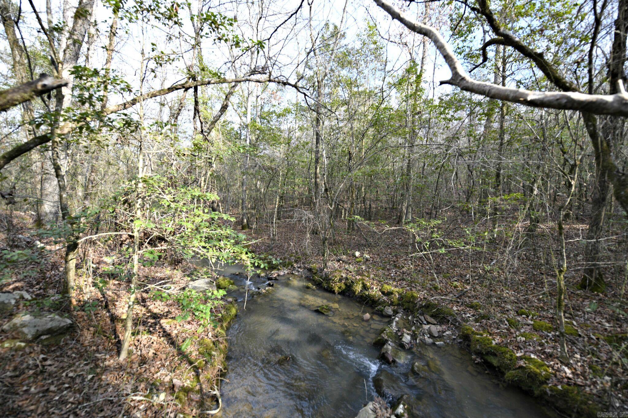 TBD Polk Road 95  Mena, AR