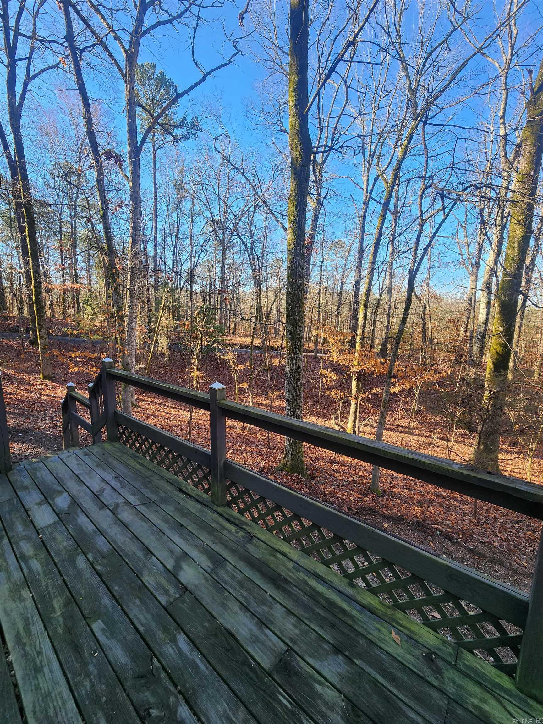 627 Polk Road 412  Mena, AR