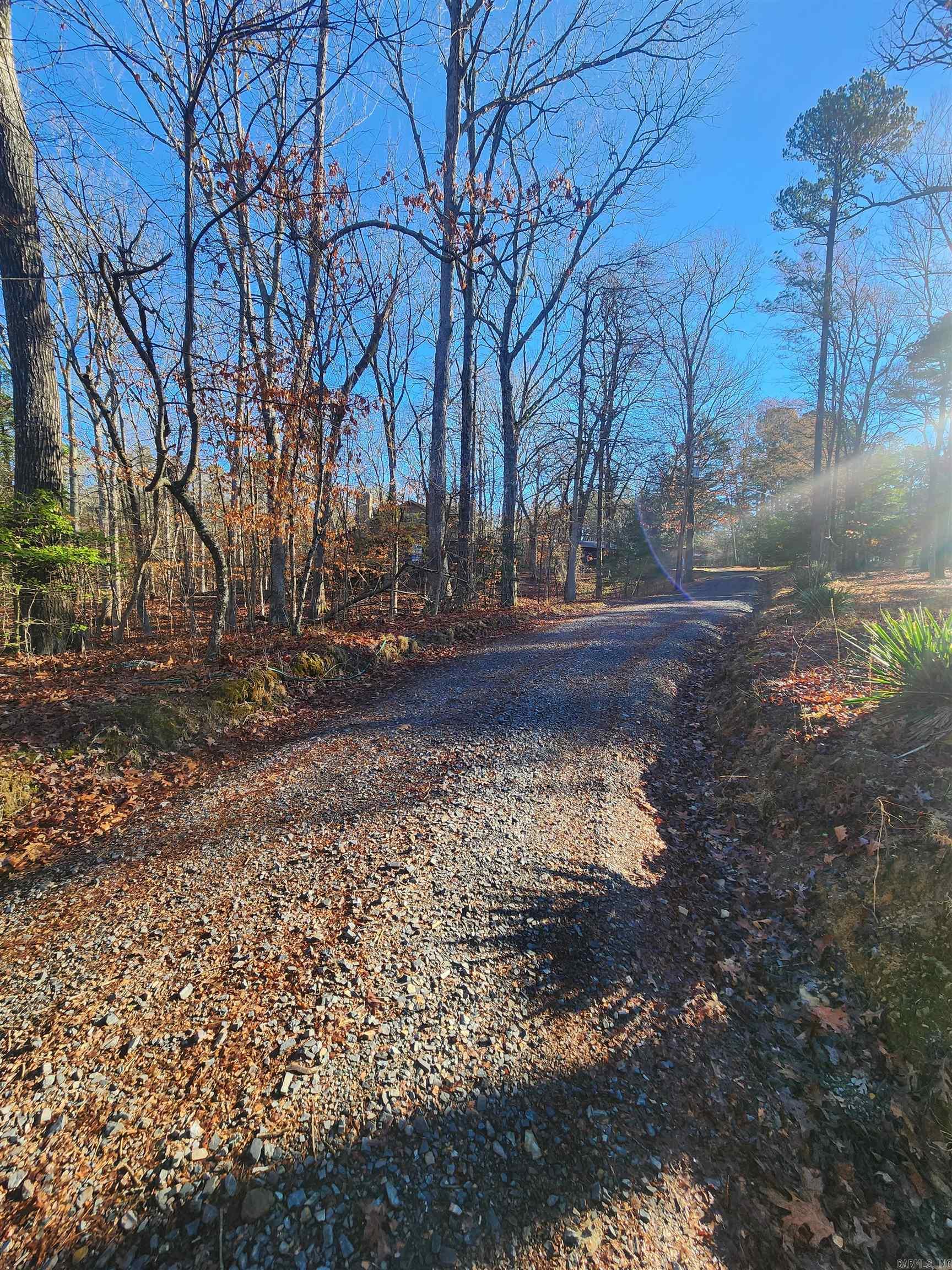 627 Polk Road 412  Mena, AR