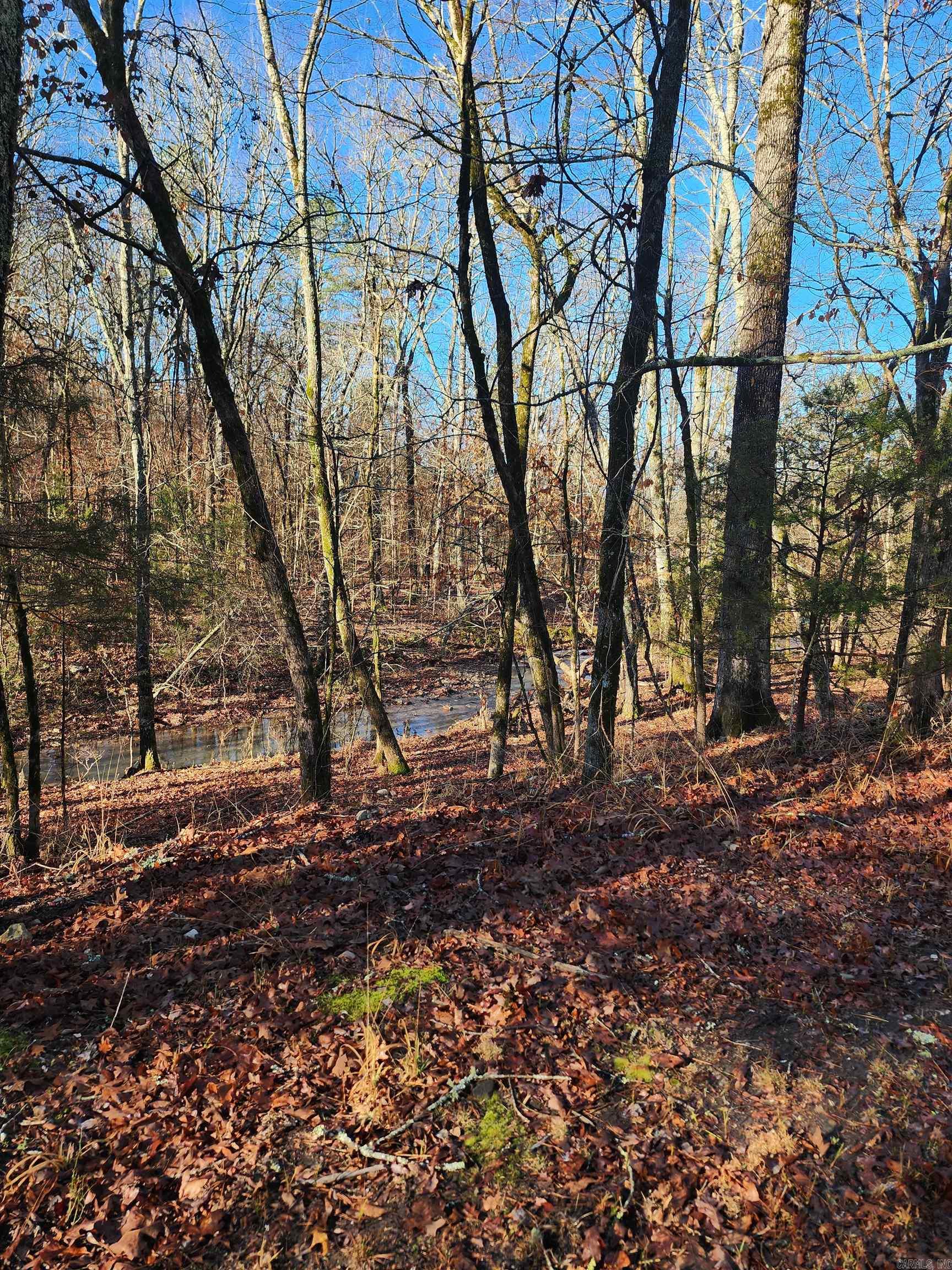 627 Polk Road 412  Mena, AR