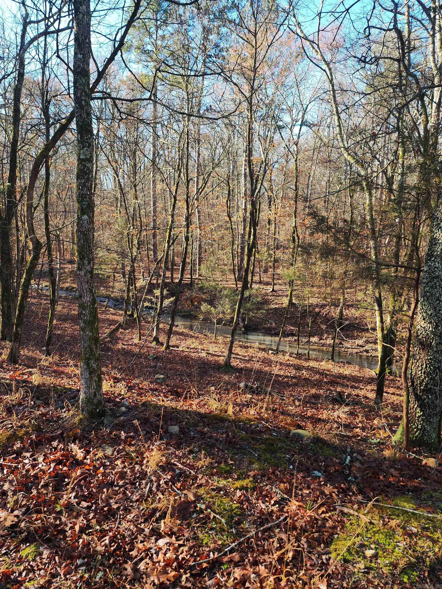 627 Polk Road 412  Mena, AR