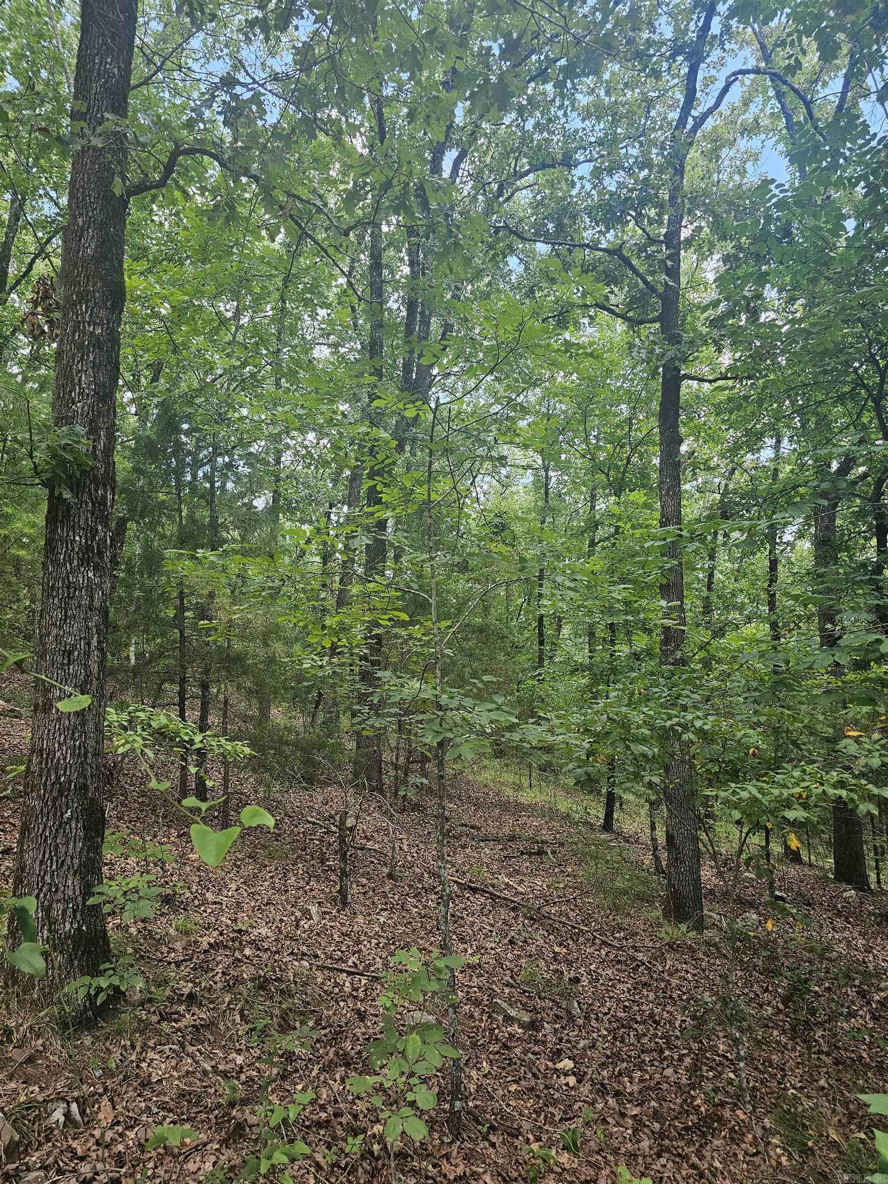 308 W Fifth  Perry, AR