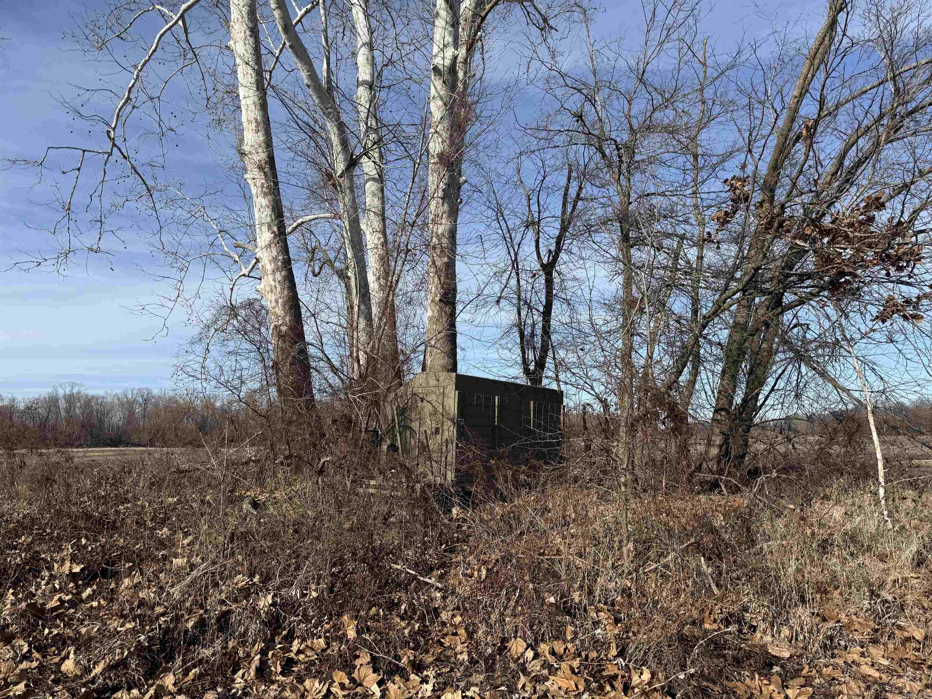 000 Woodruff CR 884  Augusta, AR