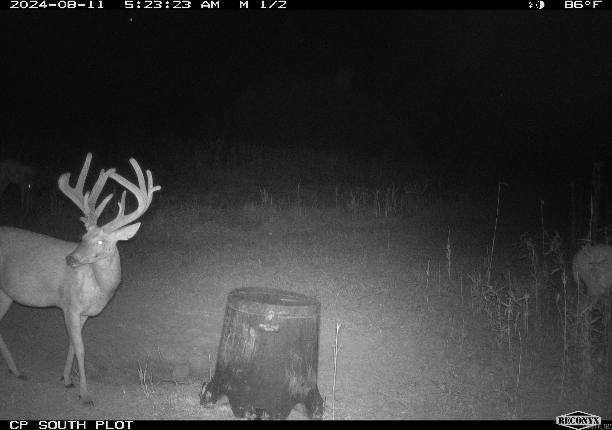 000 Woodruff CR 884  Augusta, AR