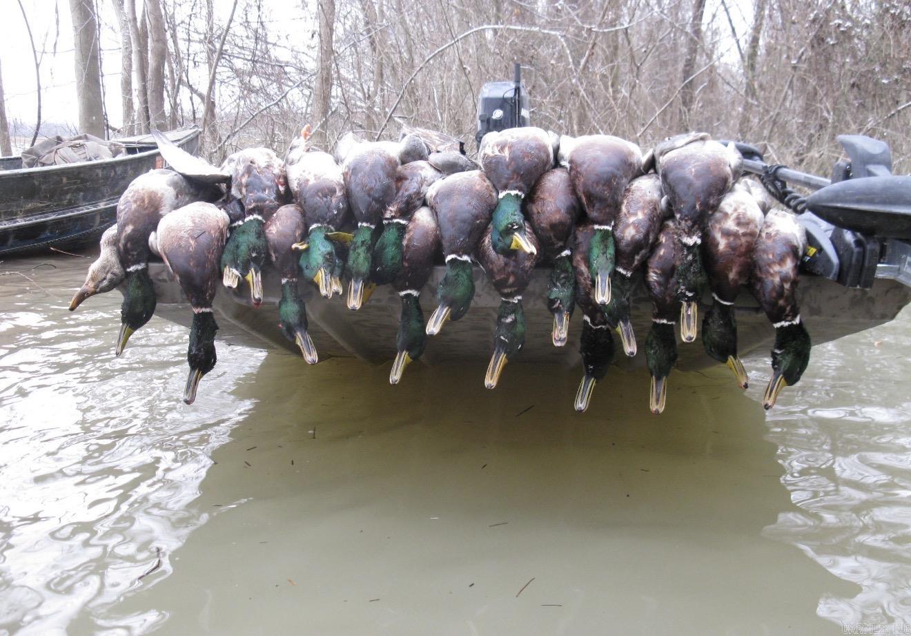 000 Woodruff CR 884  Augusta, AR