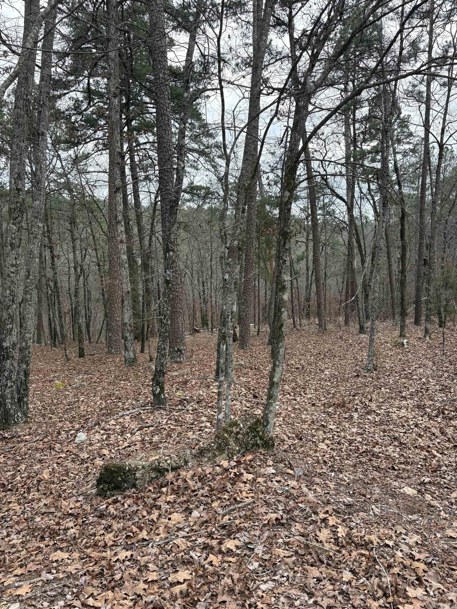 13 Acaso  Hot Springs Village, AR