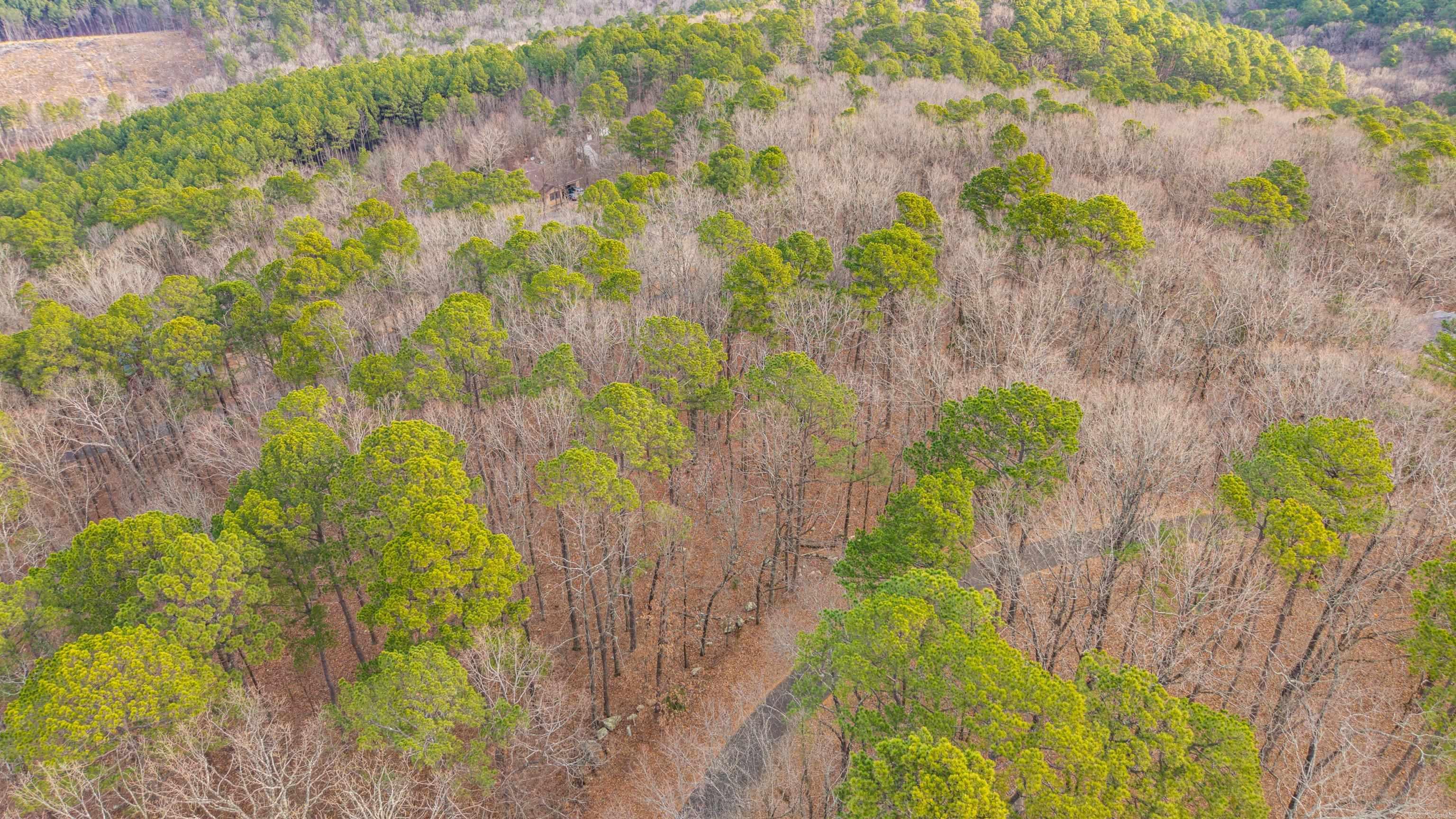 30 and 32 Valladolid 16 Marbella Way Hot Springs Village, AR