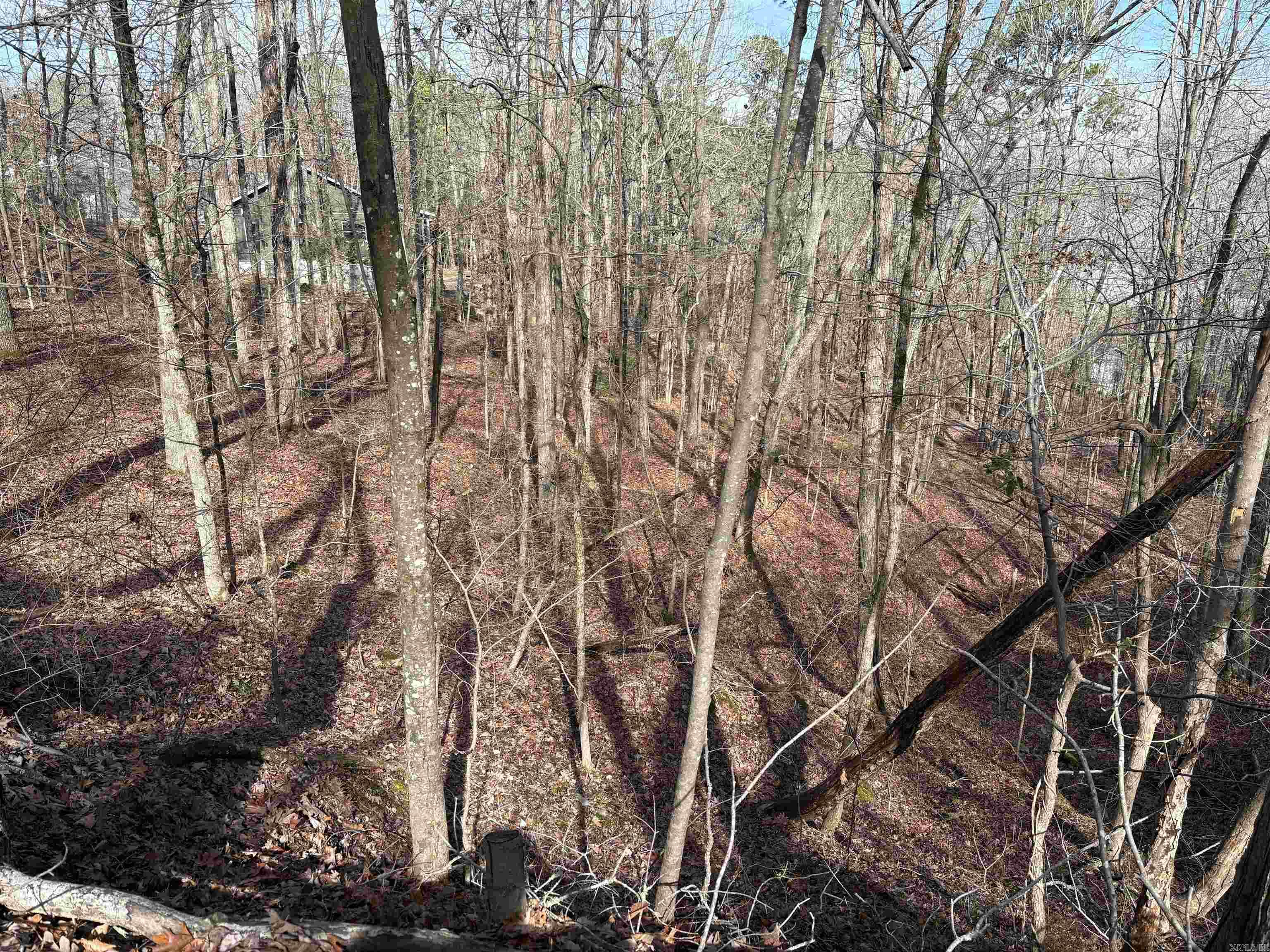 000 Oak Ln.  Heber Springs, AR