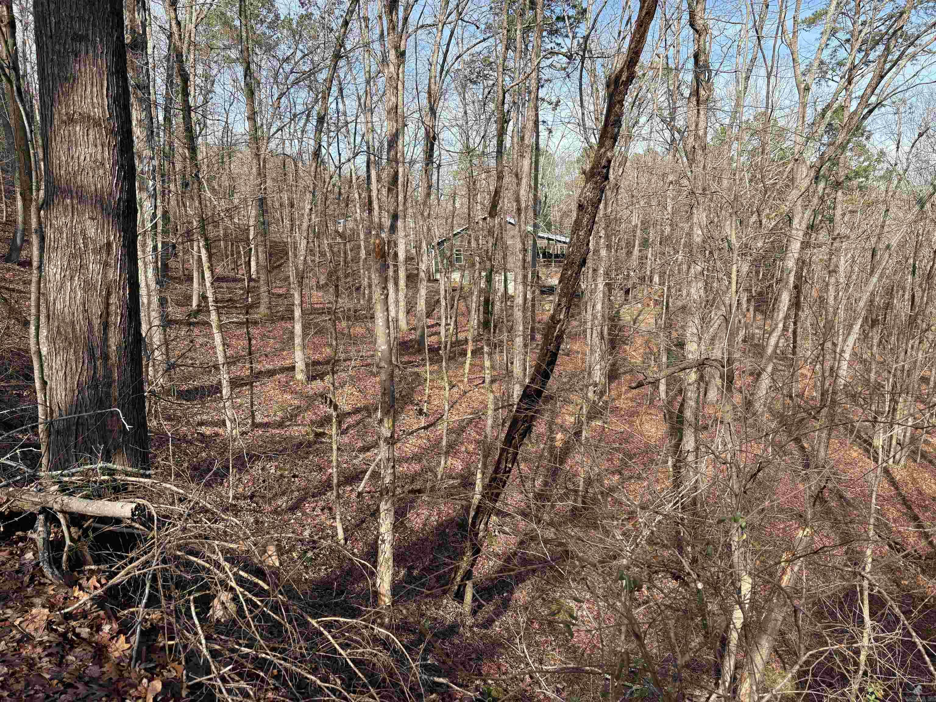 000 Oak Ln.  Heber Springs, AR