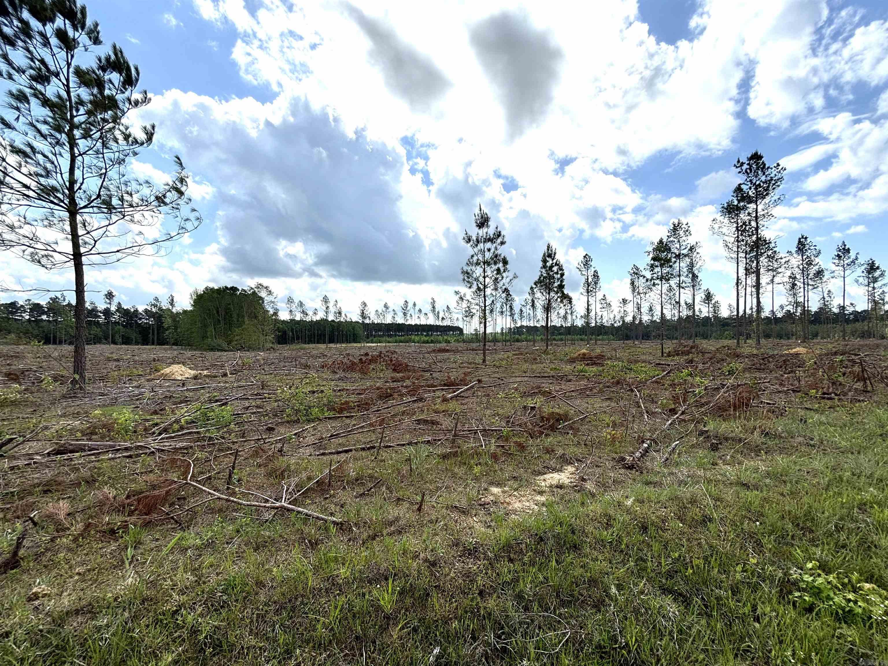 0 Grant County Road 9 (B)  Sheridan, AR