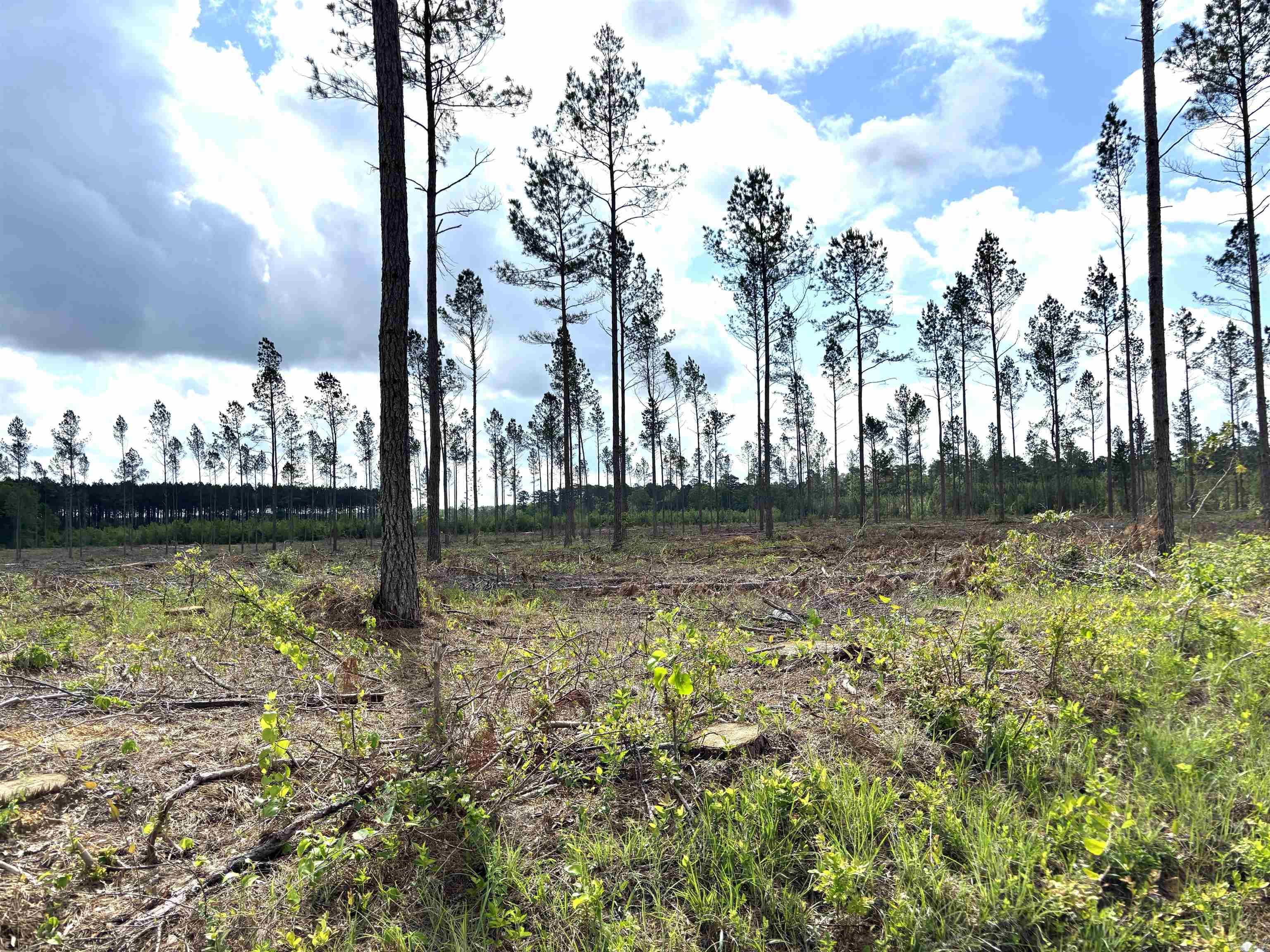 0 Grant County Road 9 (D)  Sheridan, AR