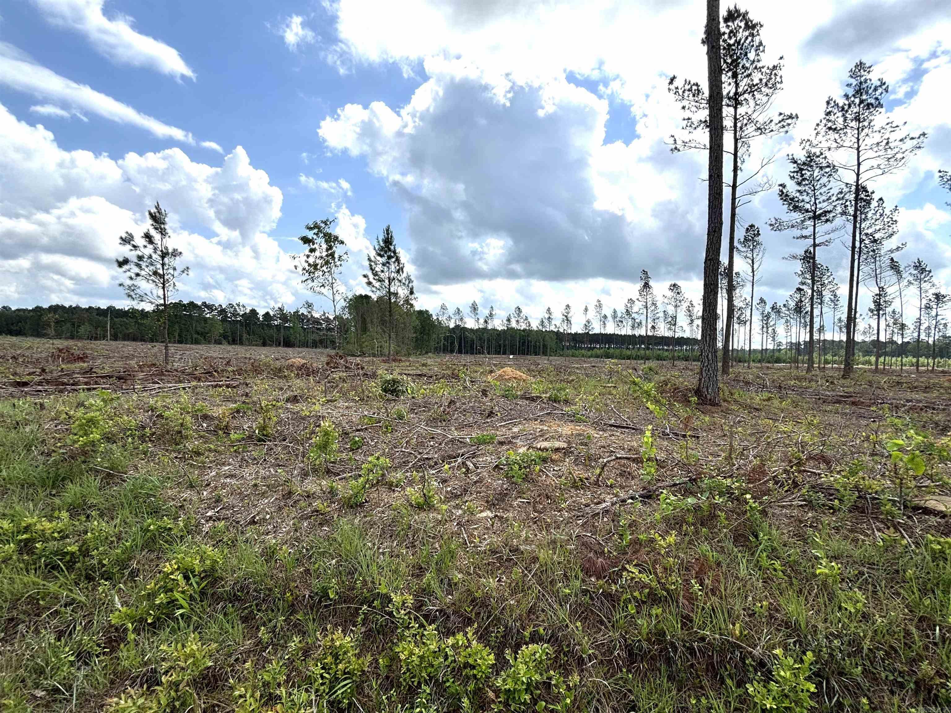 0 Grant County Road 9 (D)  Sheridan, AR