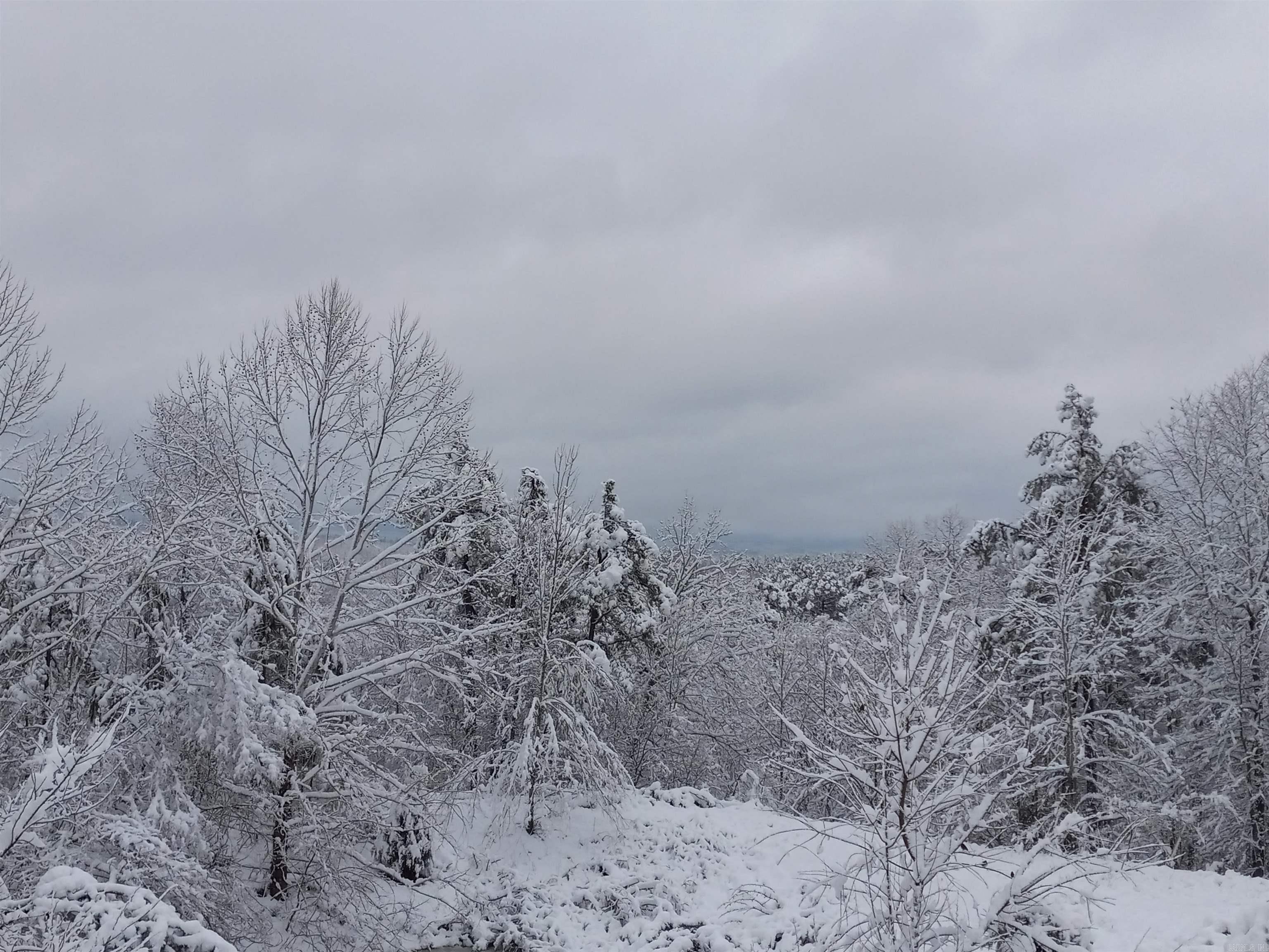 11952 S HIGHWAY 14  Yellville, AR