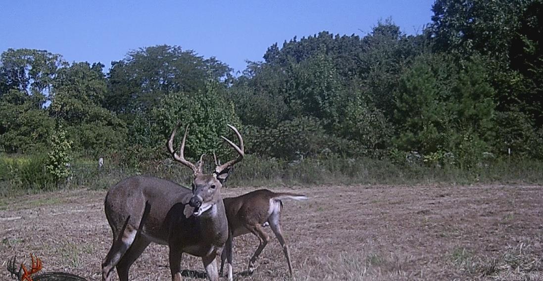 685 County Road 303  Cherry Valley, AR