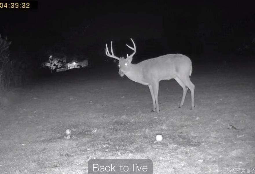 685 County Road 303  Cherry Valley, AR