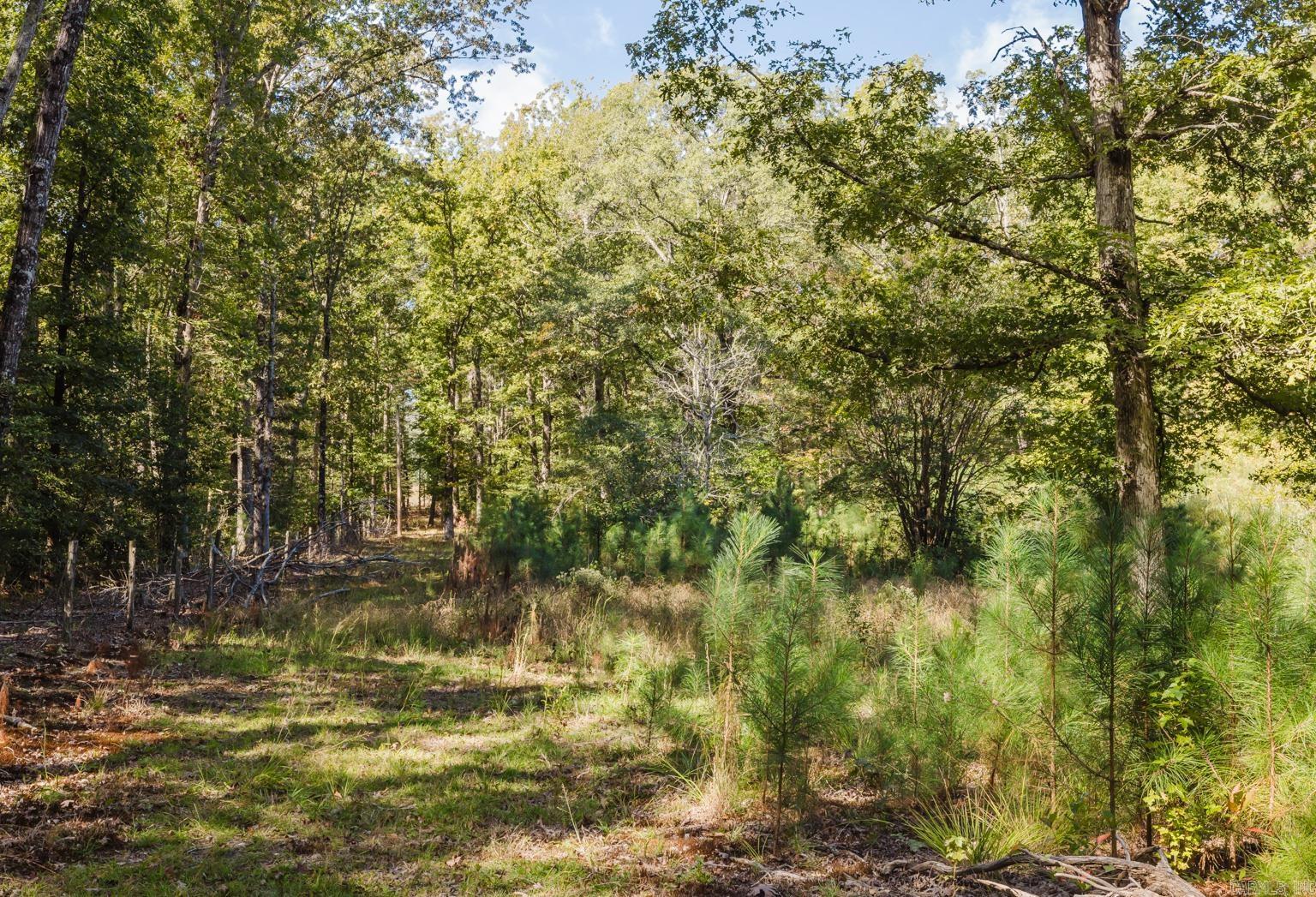 15901 Vimy Woods  Mabelvale, AR