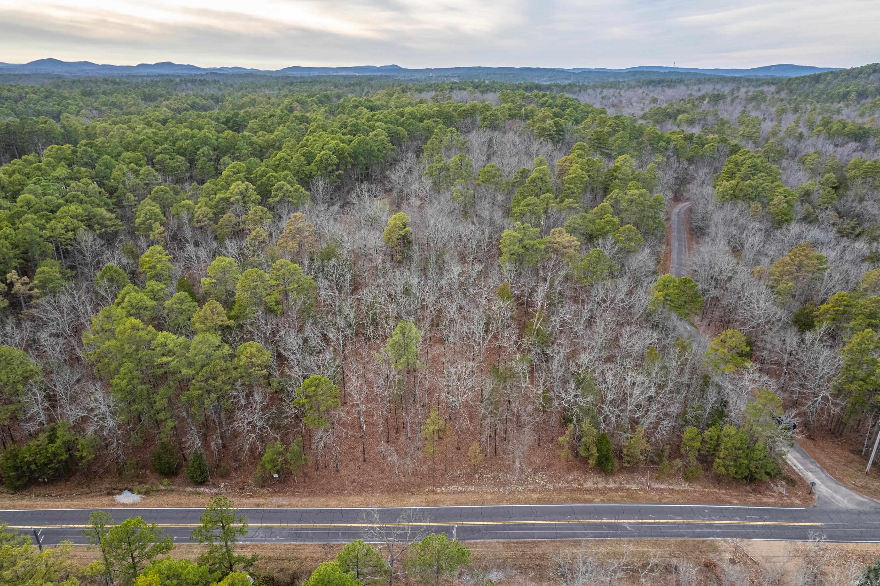 26 Levantino  Hot Springs Village, AR