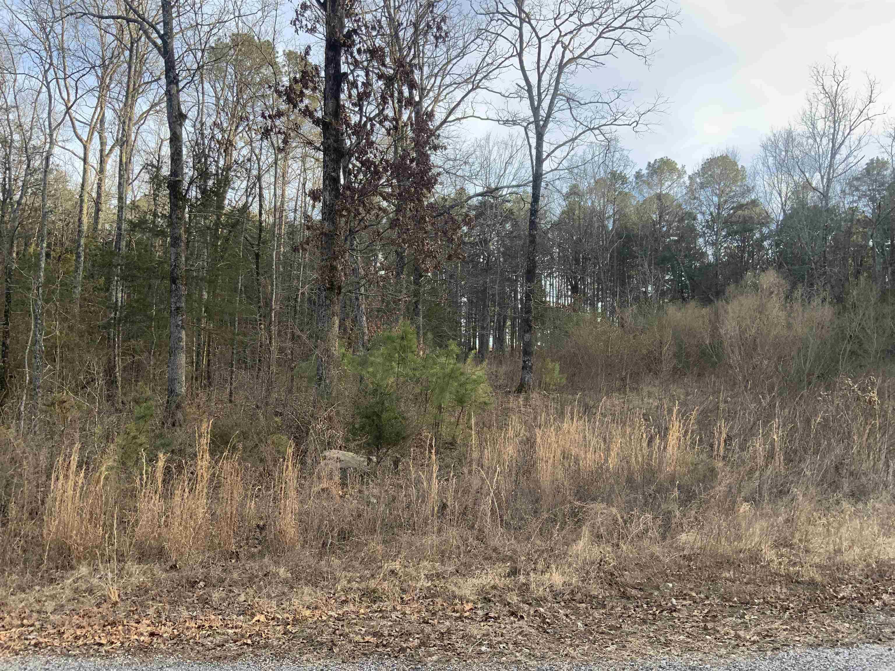 000 Red Fox  Greers Ferry, AR