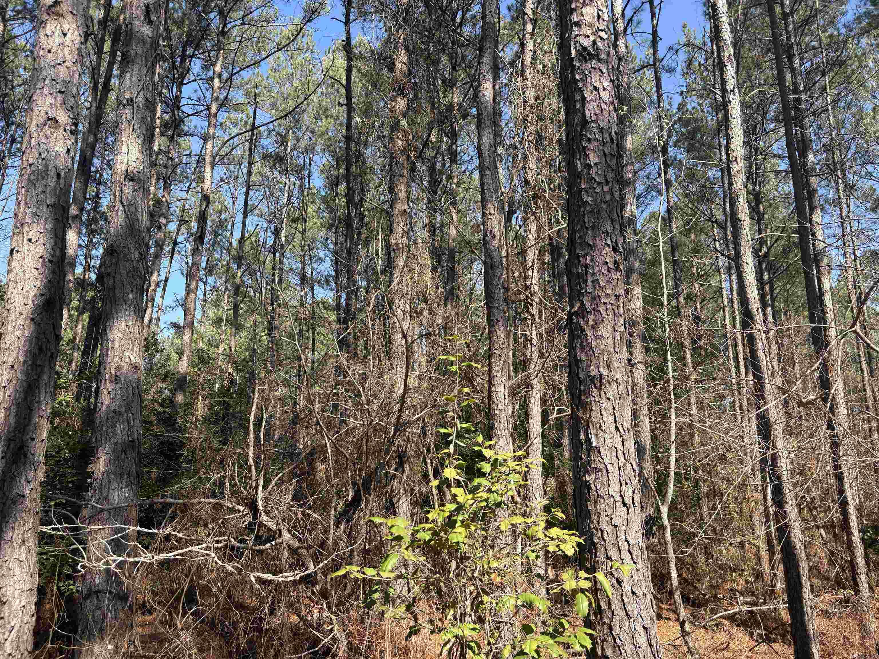 0 hwy 46 N  Sheridan, AR