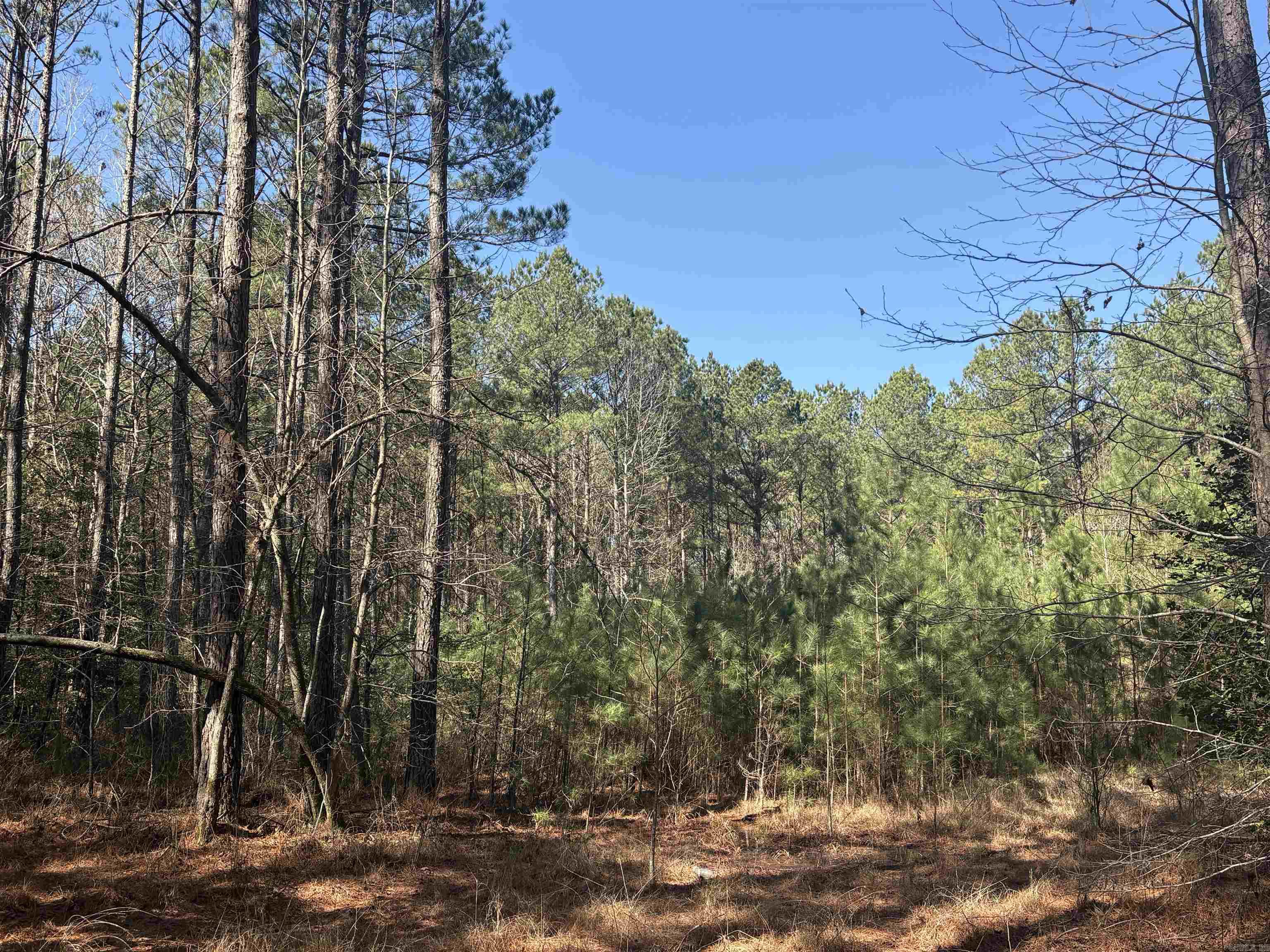 0 hwy 46 N  Sheridan, AR