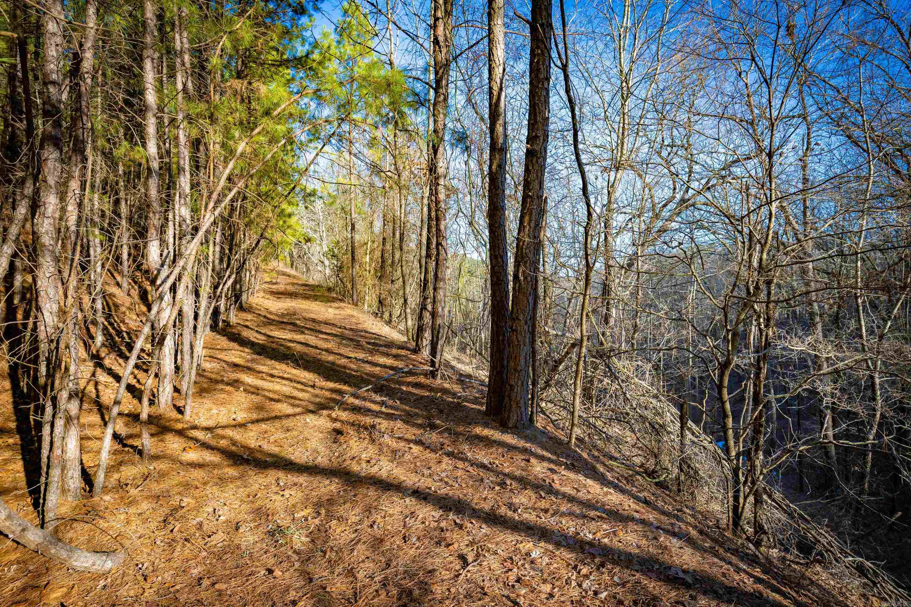 0 Grey Hawk  Paron, AR