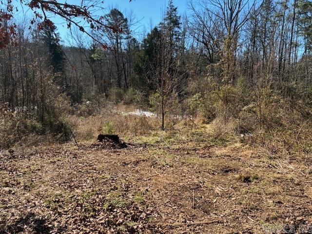 402 Cody  Clinton, AR