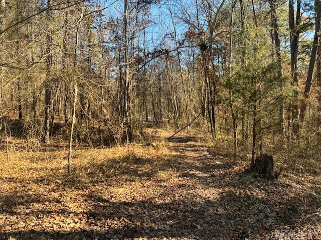 402 Cody  Clinton, AR