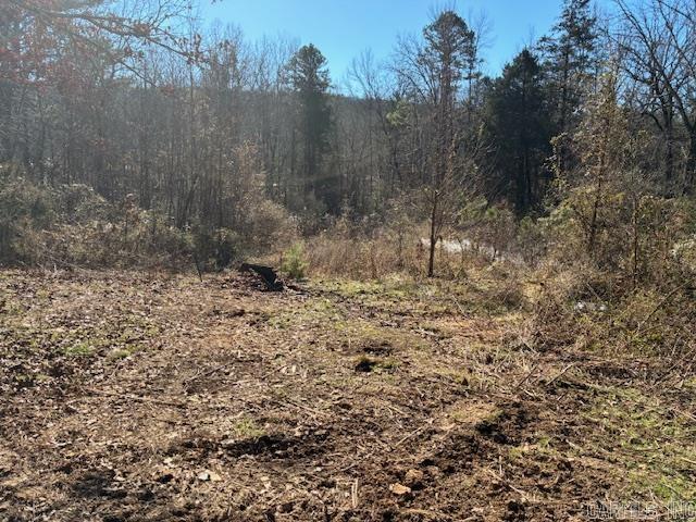 402 Cody  Clinton, AR