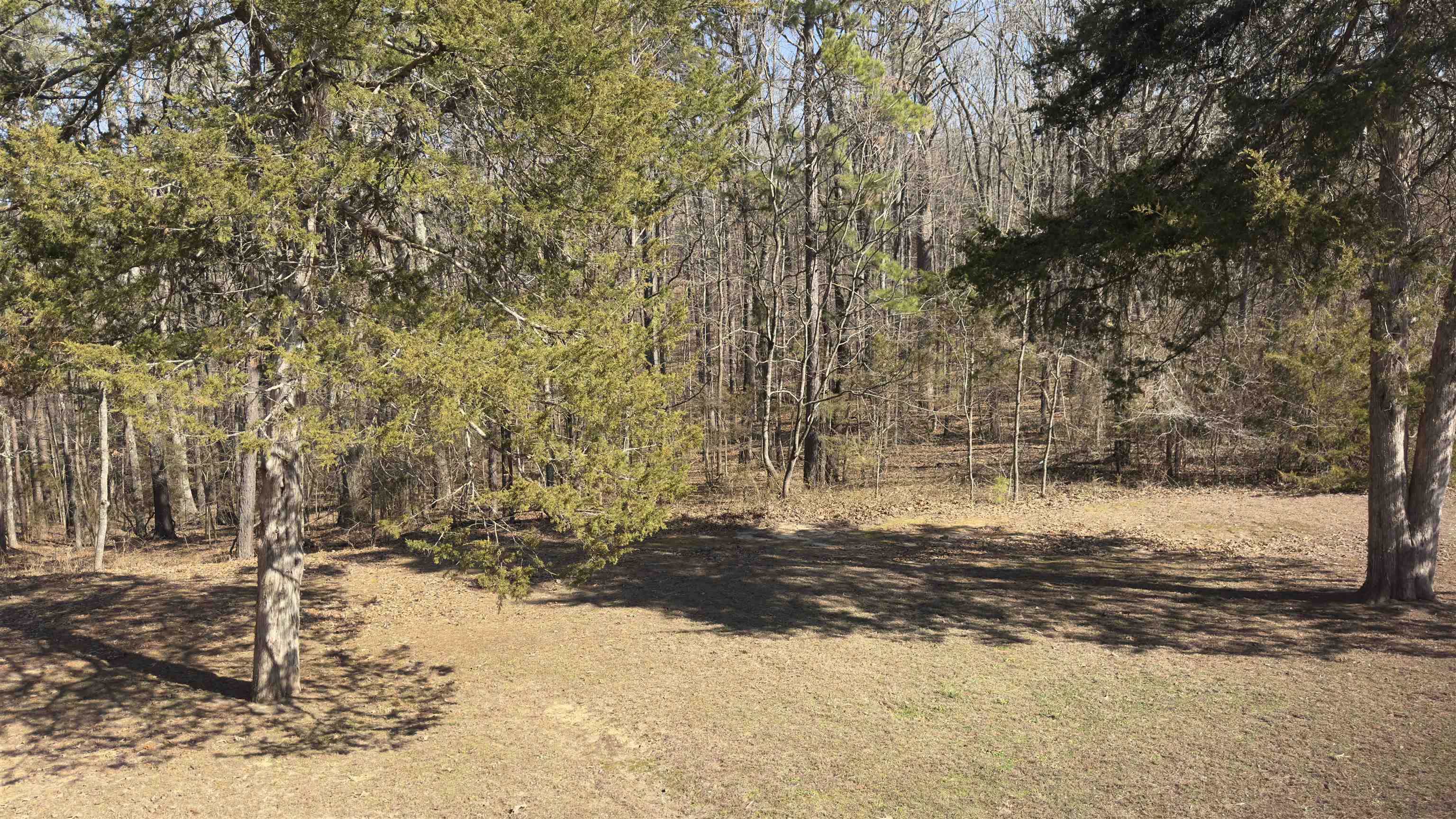 1585 Knob Creek Road  Melbourne, AR