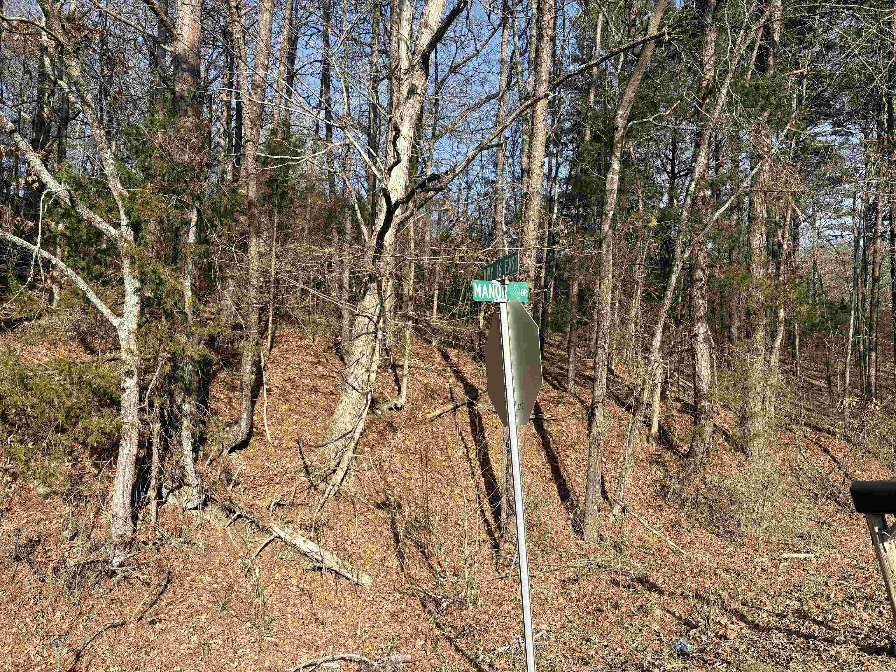 Manor and Hwy.9 Shirley, AR 72153