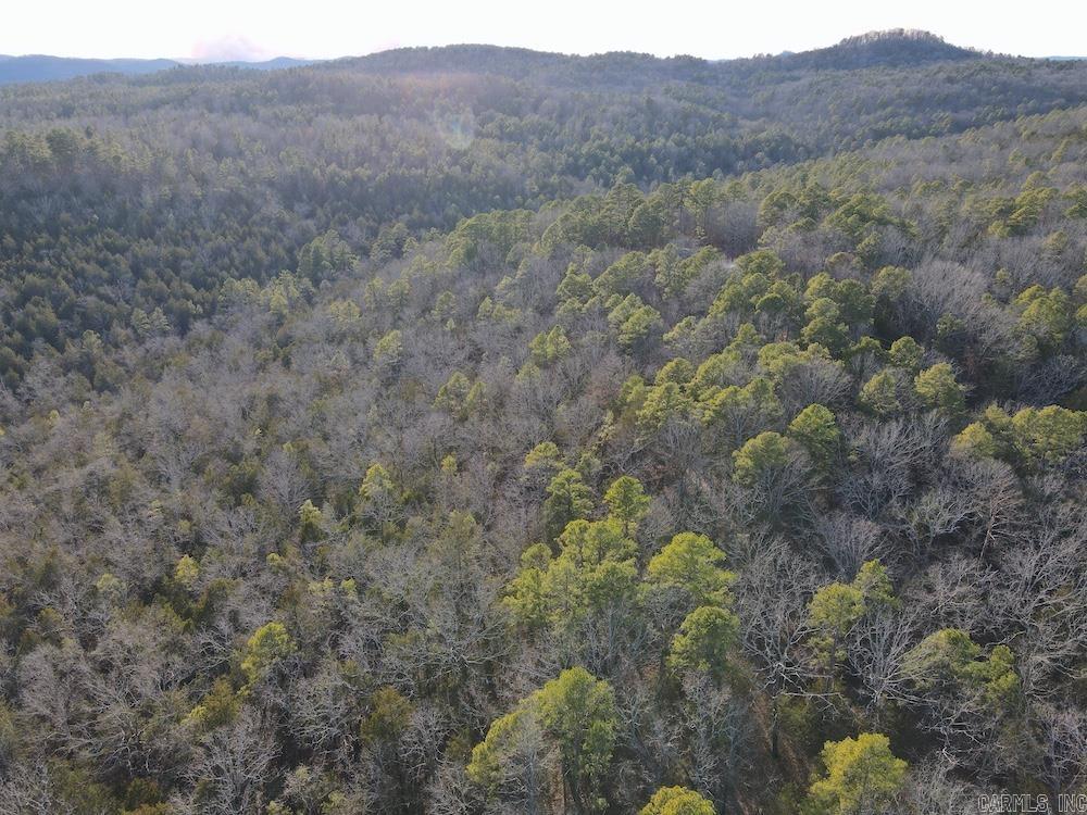 738 Sunnyland Road  Calico Rock, AR