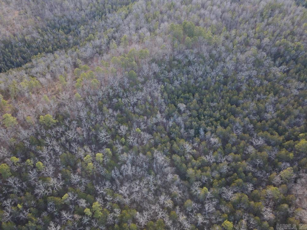 738 Sunnyland Road  Calico Rock, AR